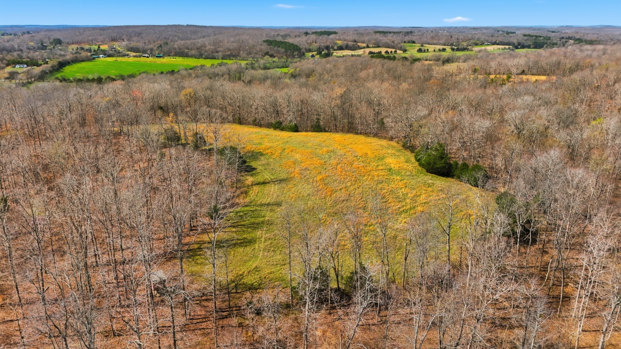0 Herman Adams Road Property Photo 1