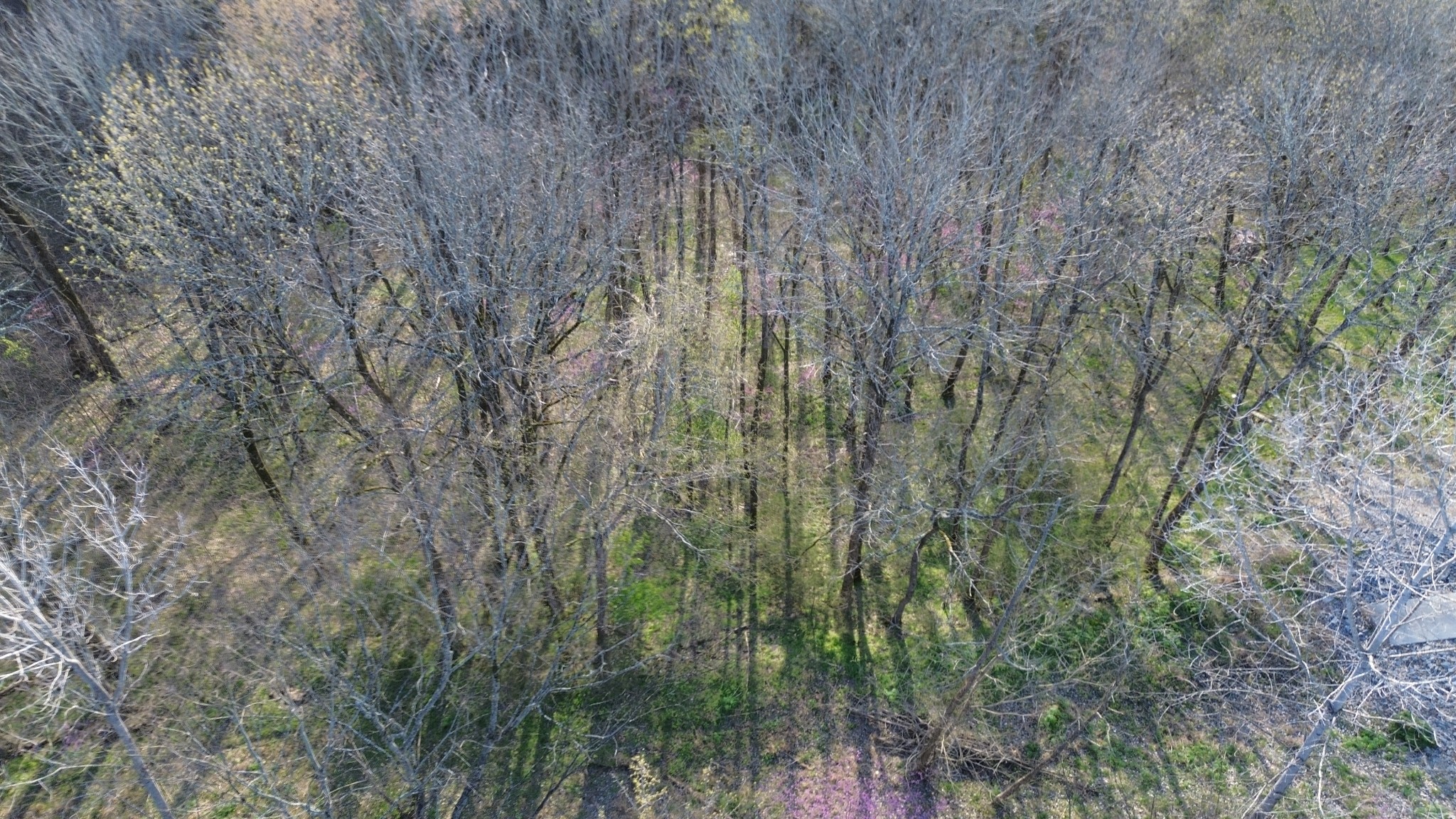 0 Wilson Cir Property Photo 5