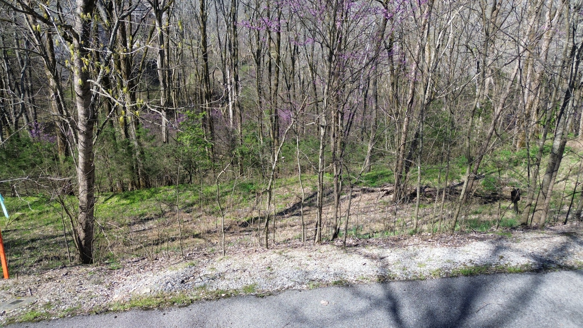 0 Wilson Cir Property Photo 7