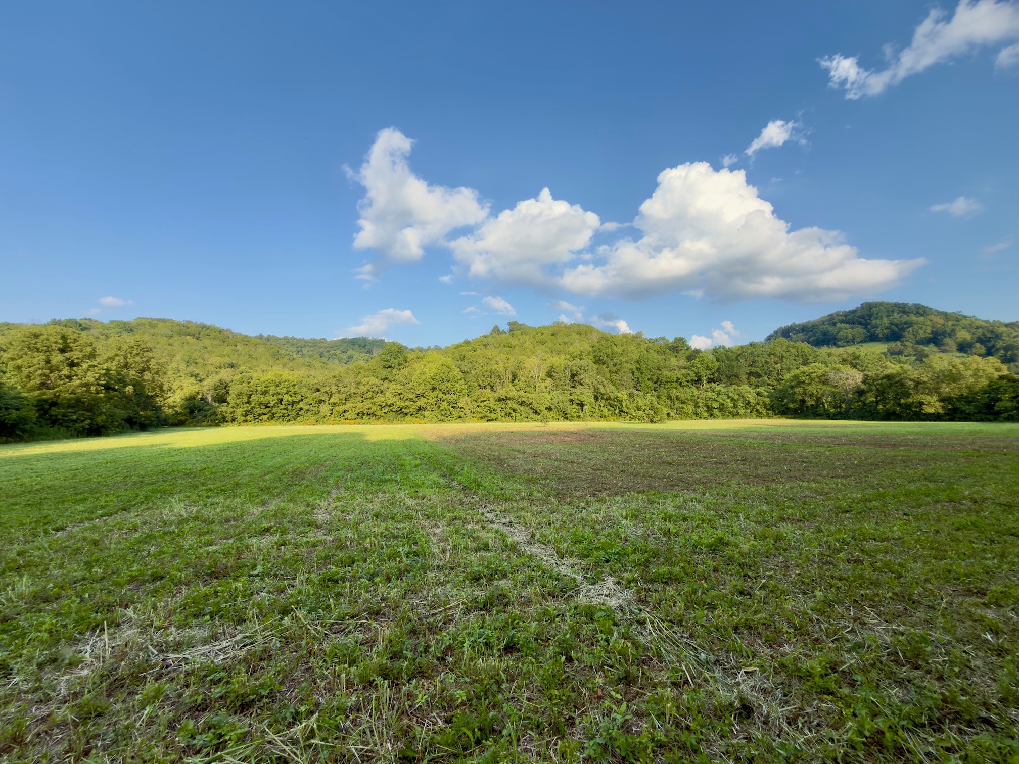 3780 Hurricane Creek Rd Property Photo 1