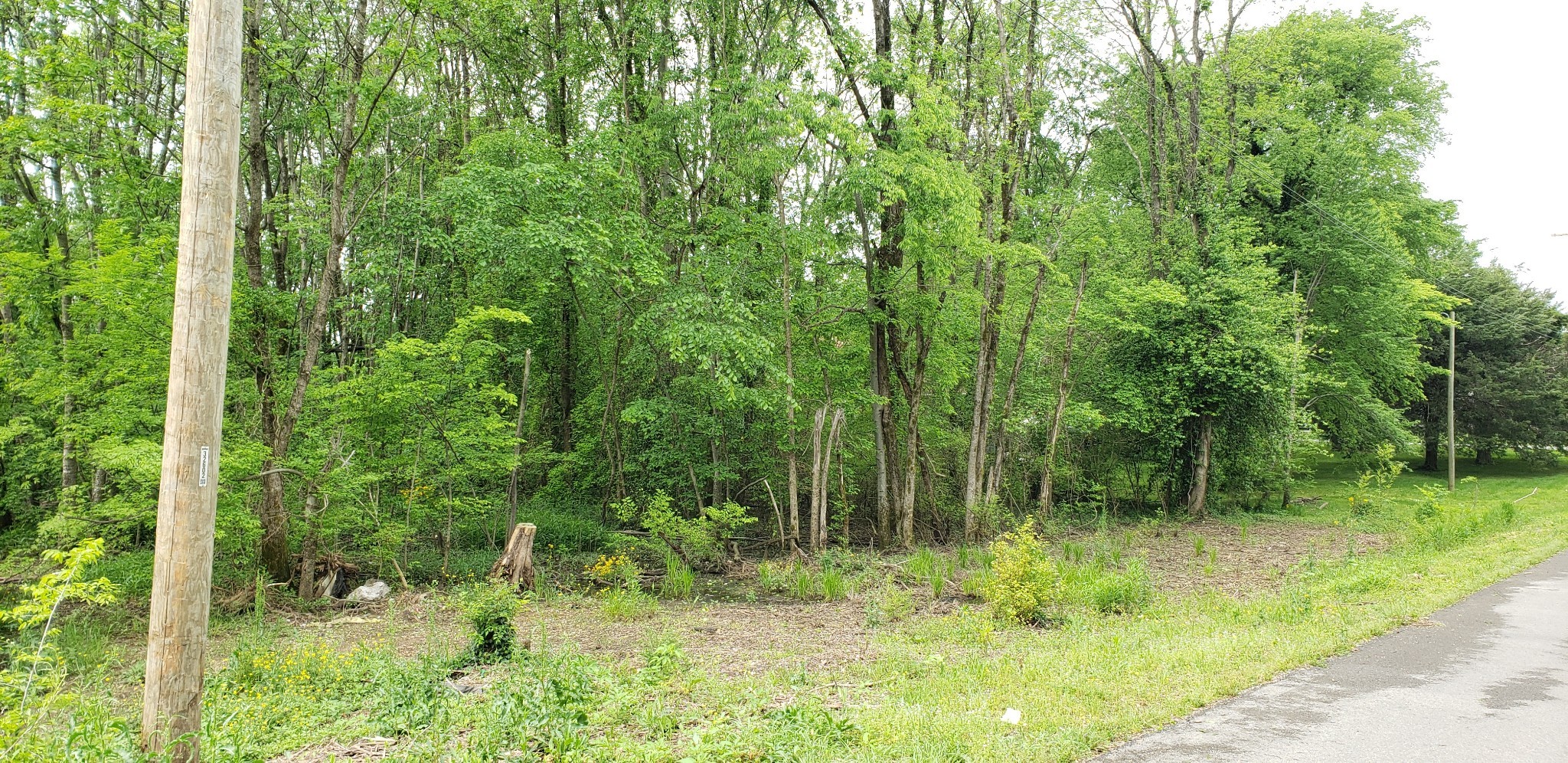 0 Caroline Dr Property Photo 1