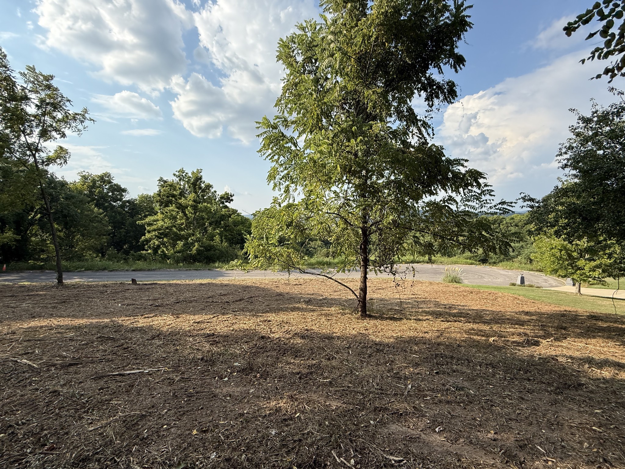 0 Deer Ridge Road Property Photo 12