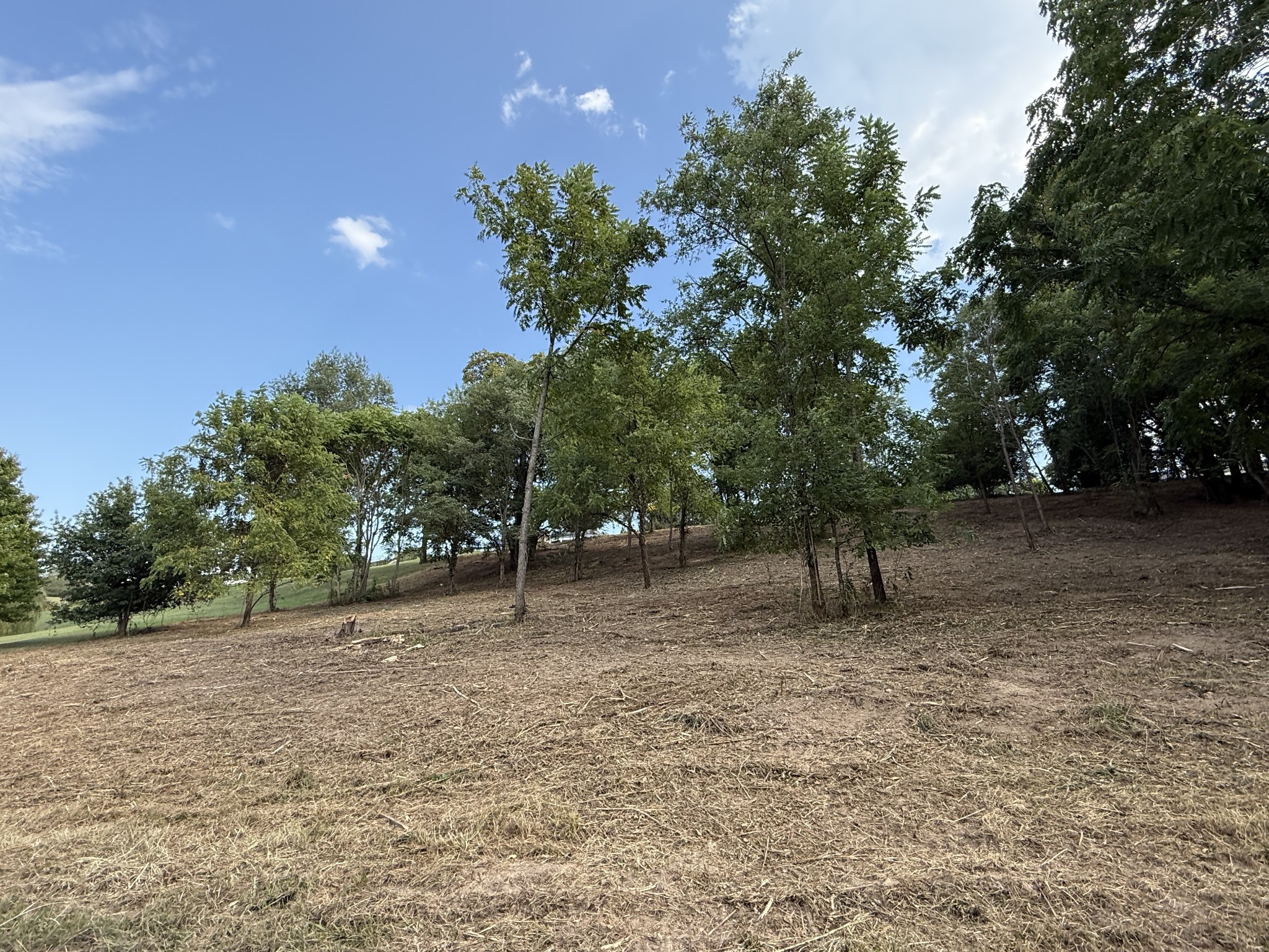 0 Deer Ridge Road Property Photo 17