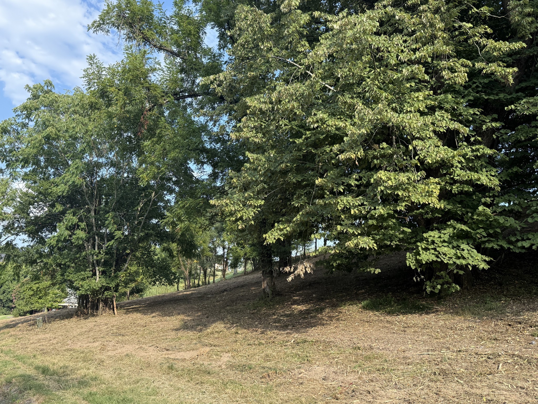 0 Deer Ridge Road Property Photo 19