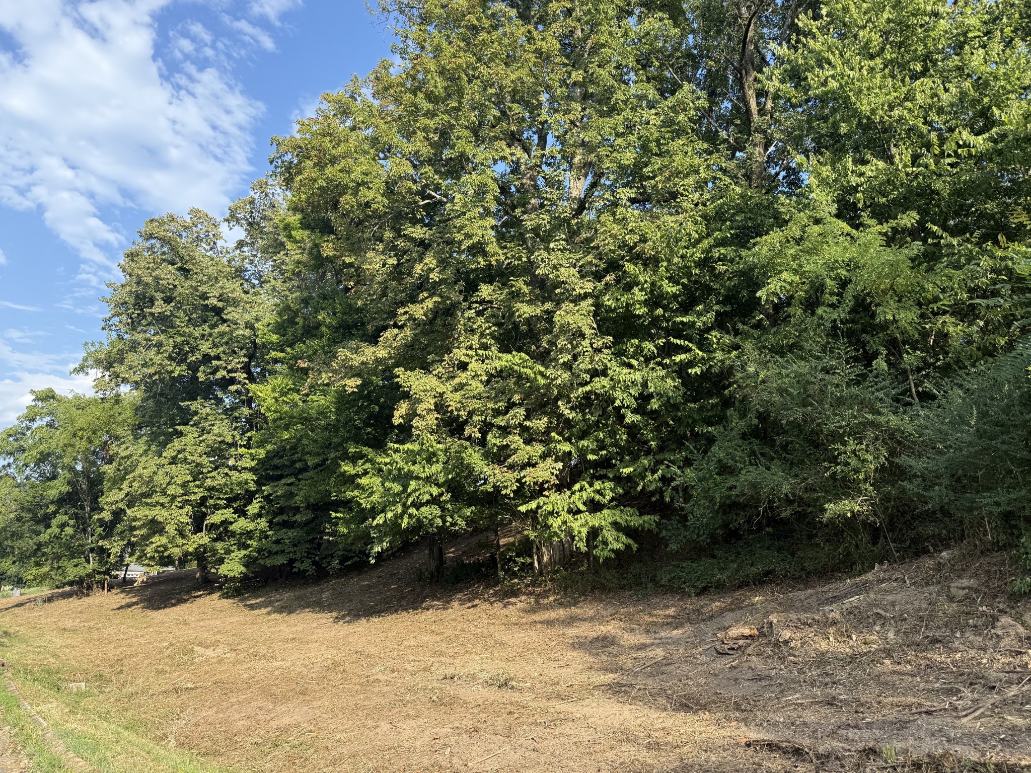 0 Deer Ridge Road Property Photo 20