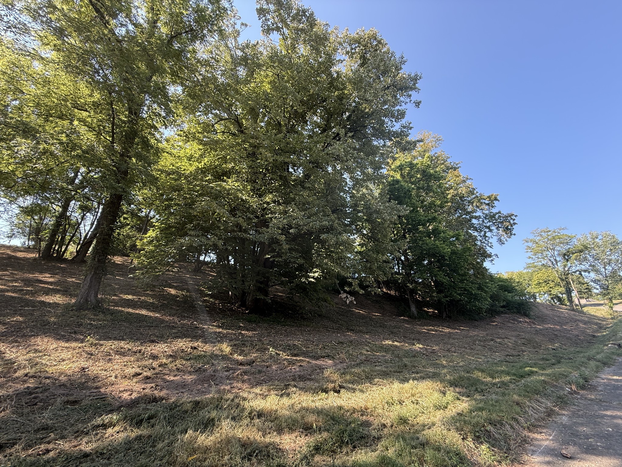 0 Deer Ridge Road Property Photo 21