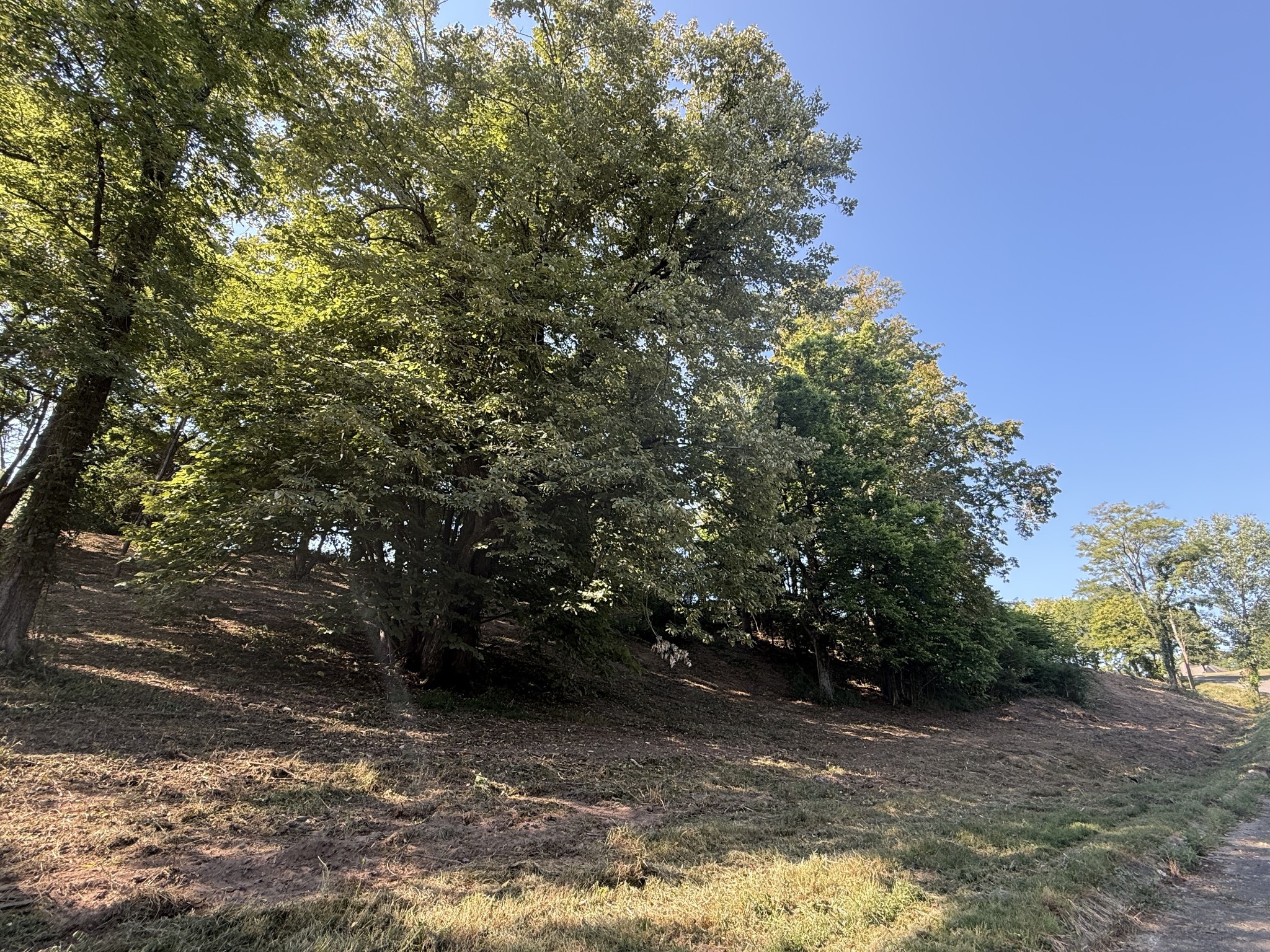 0 Deer Ridge Road Property Photo 22