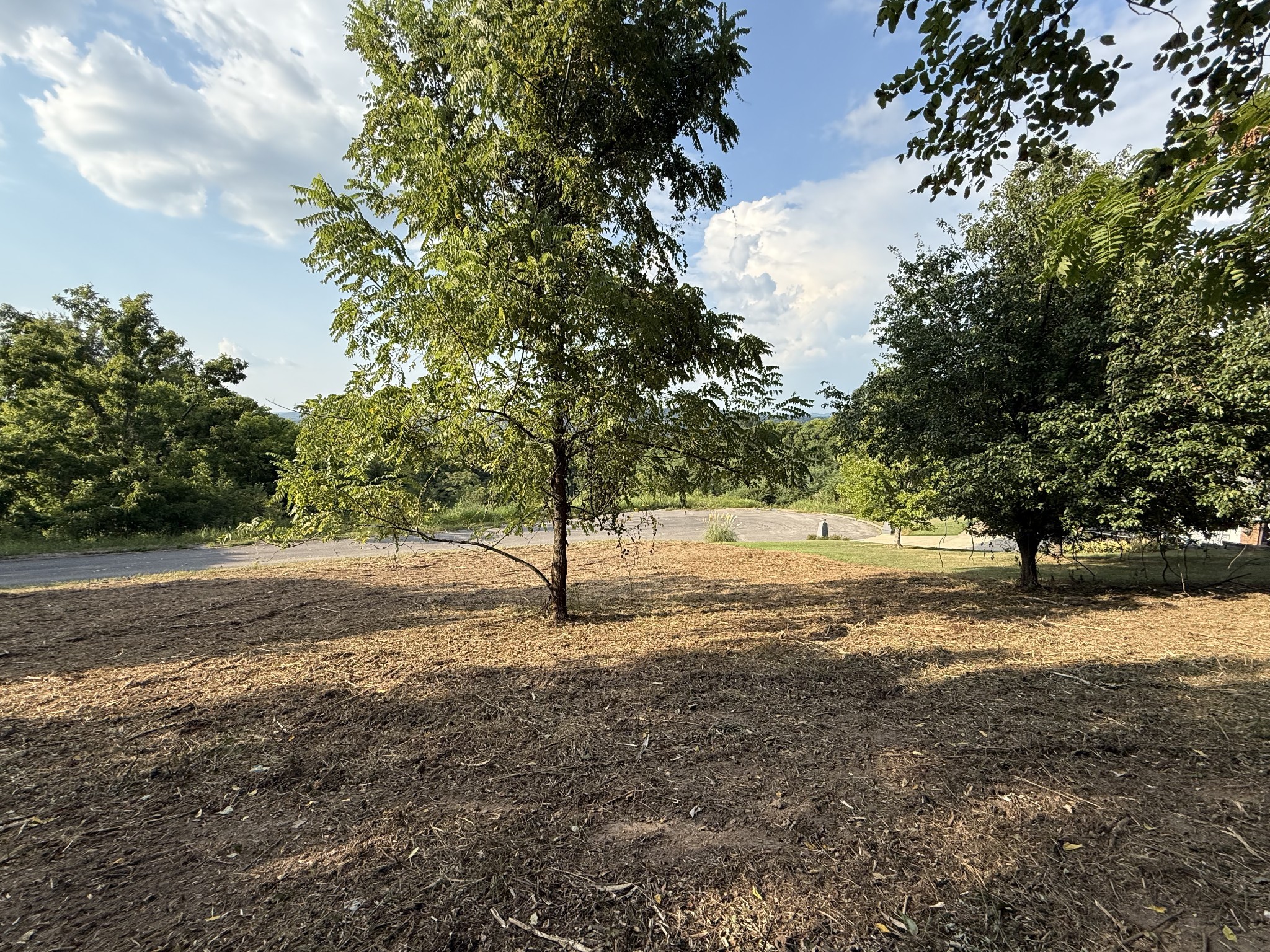 0 Deer Ridge Road Property Photo 23