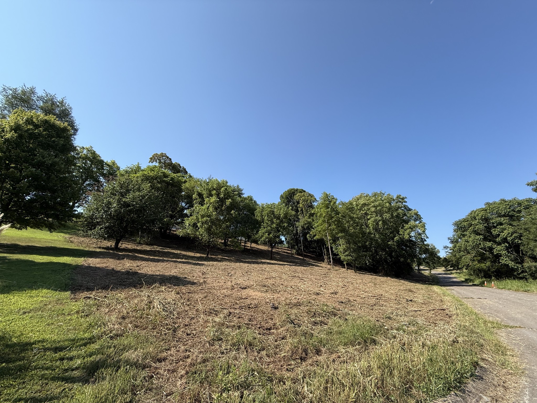 0 Deer Ridge Road Property Photo 24