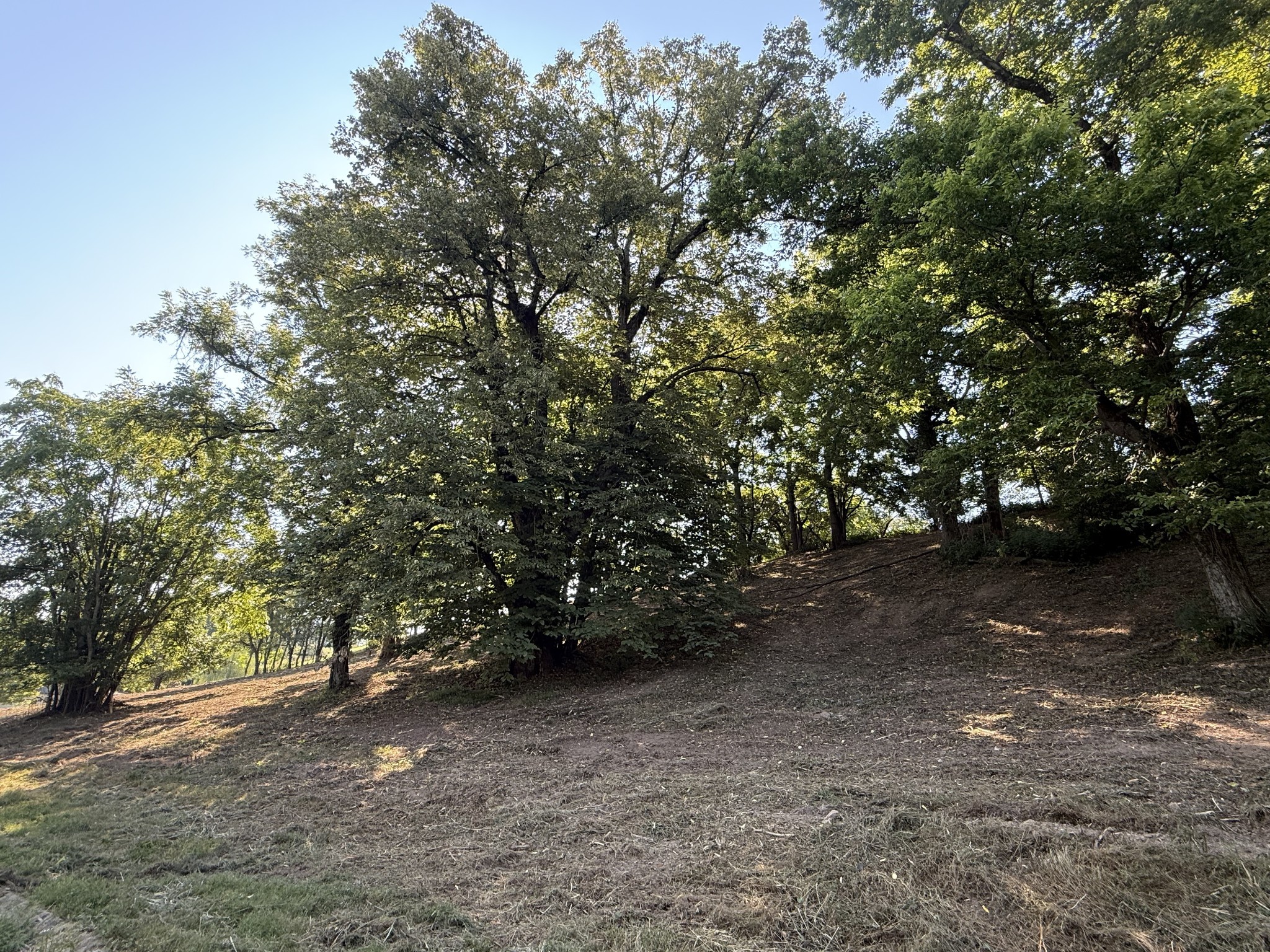 0 Deer Ridge Road Property Photo 27