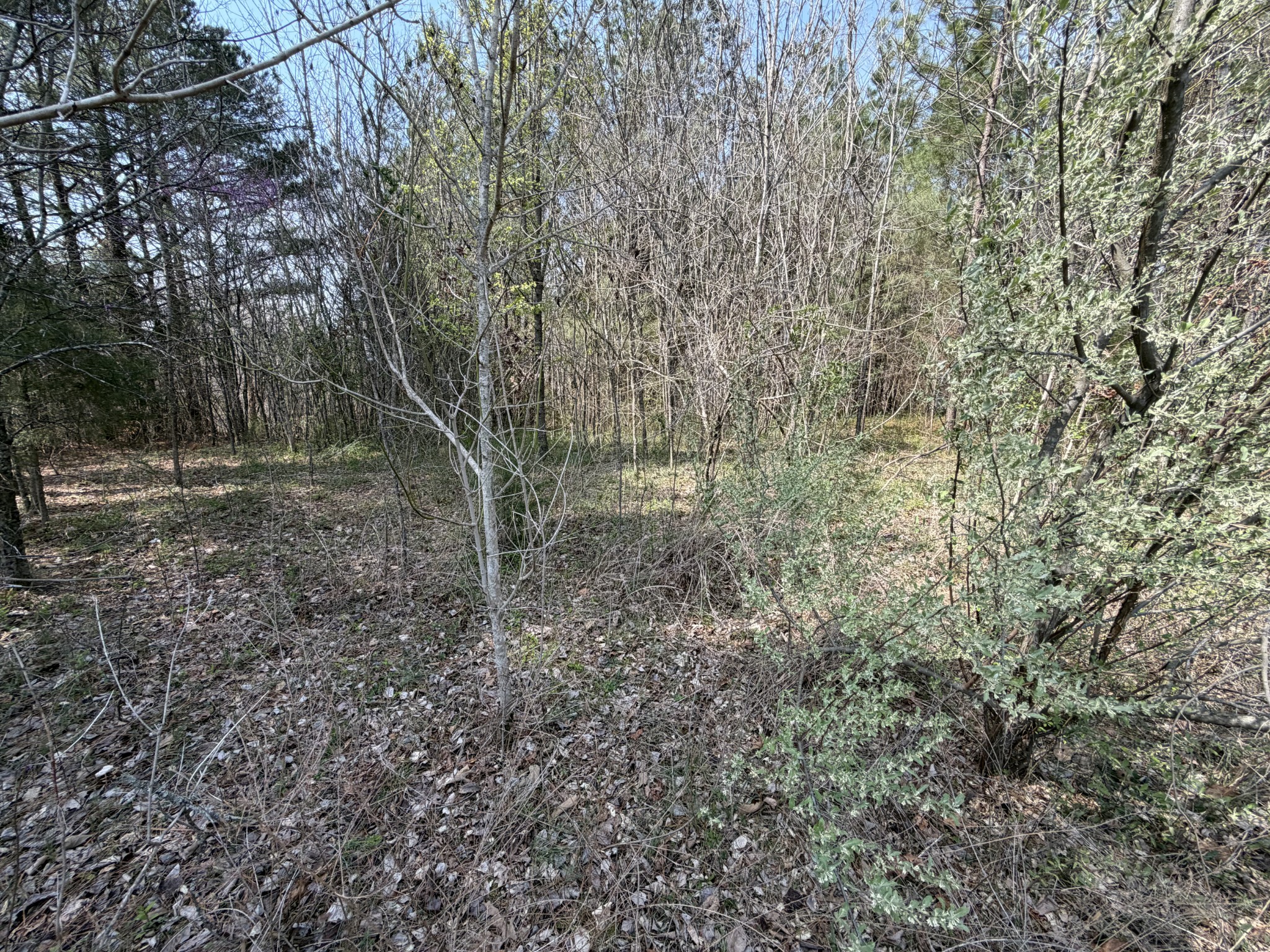5106 Workman Rd Property Photo 3