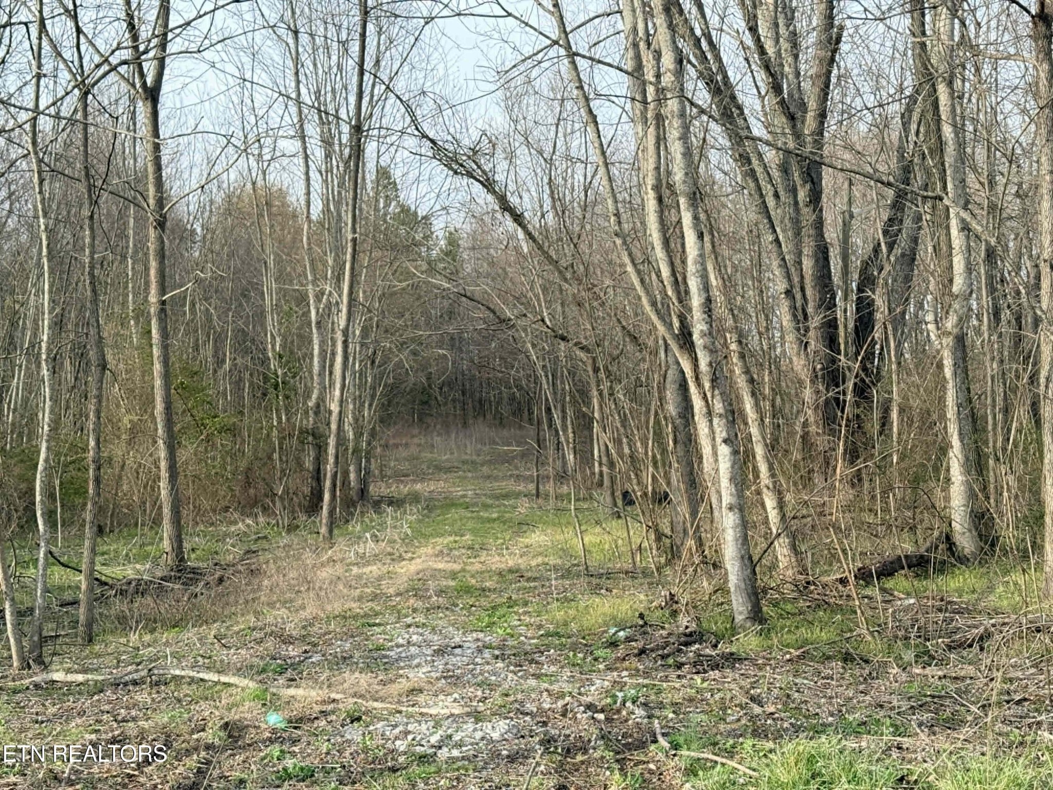1115 Frank Campbell Rd Property Photo 2