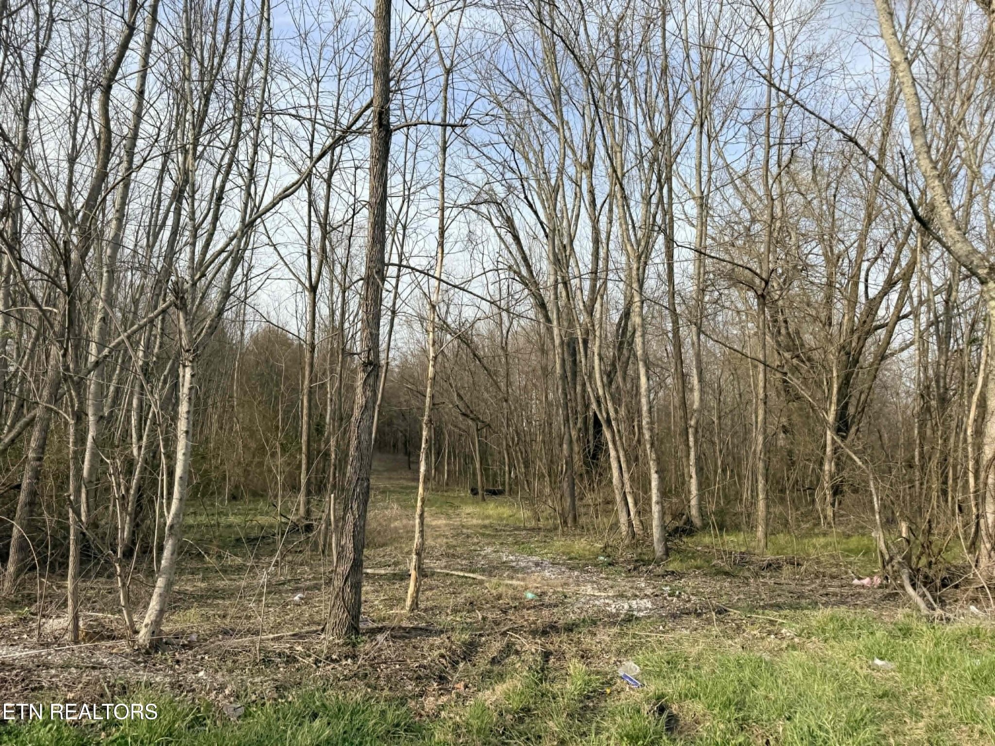 1115 Frank Campbell Rd Property Photo 5