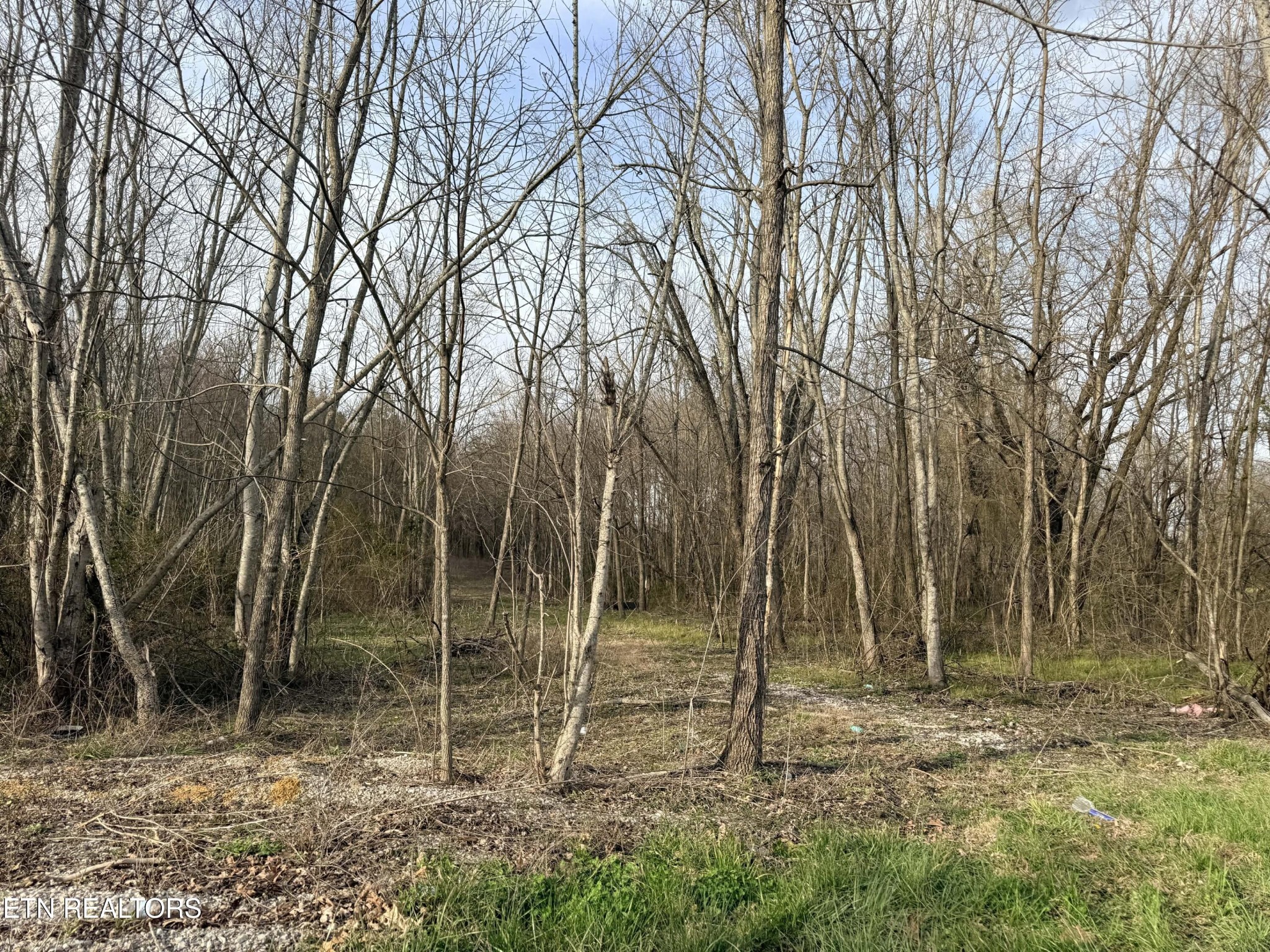 1115 Frank Campbell Rd Property Photo 6