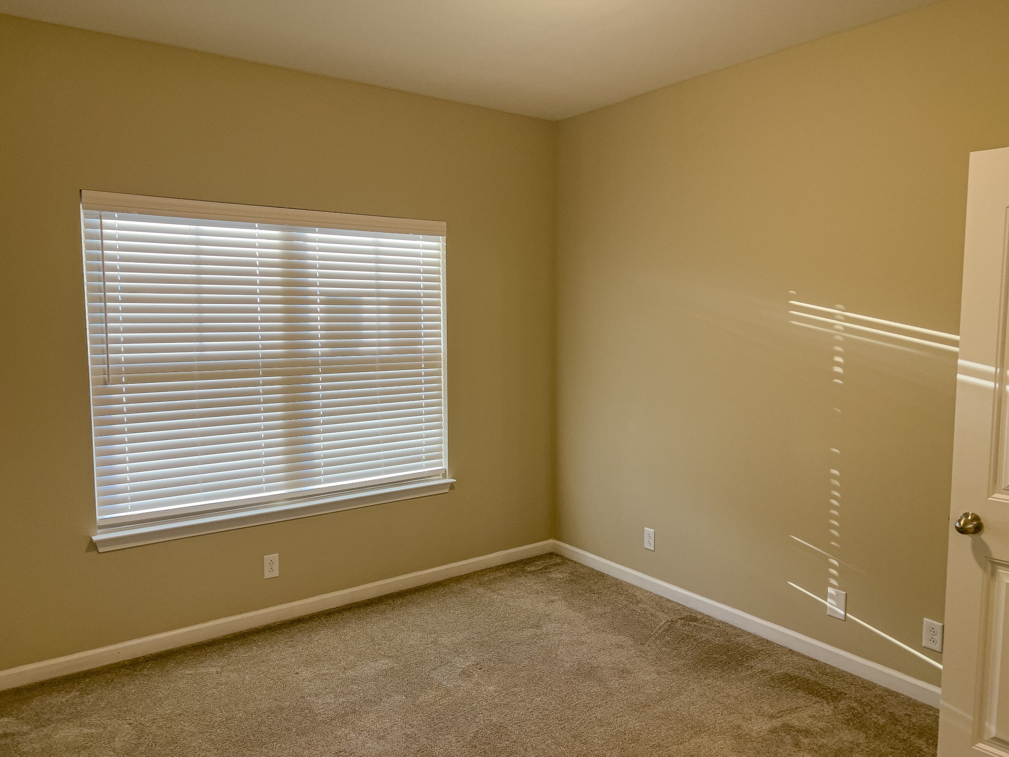 3523 Plum Leaf Pl Property Photo 11