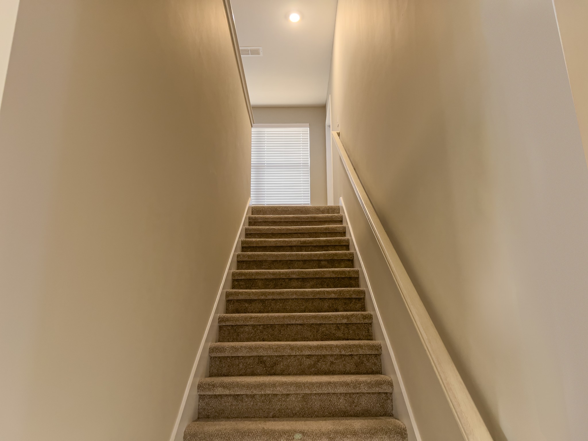 3523 Plum Leaf Pl Property Photo 19