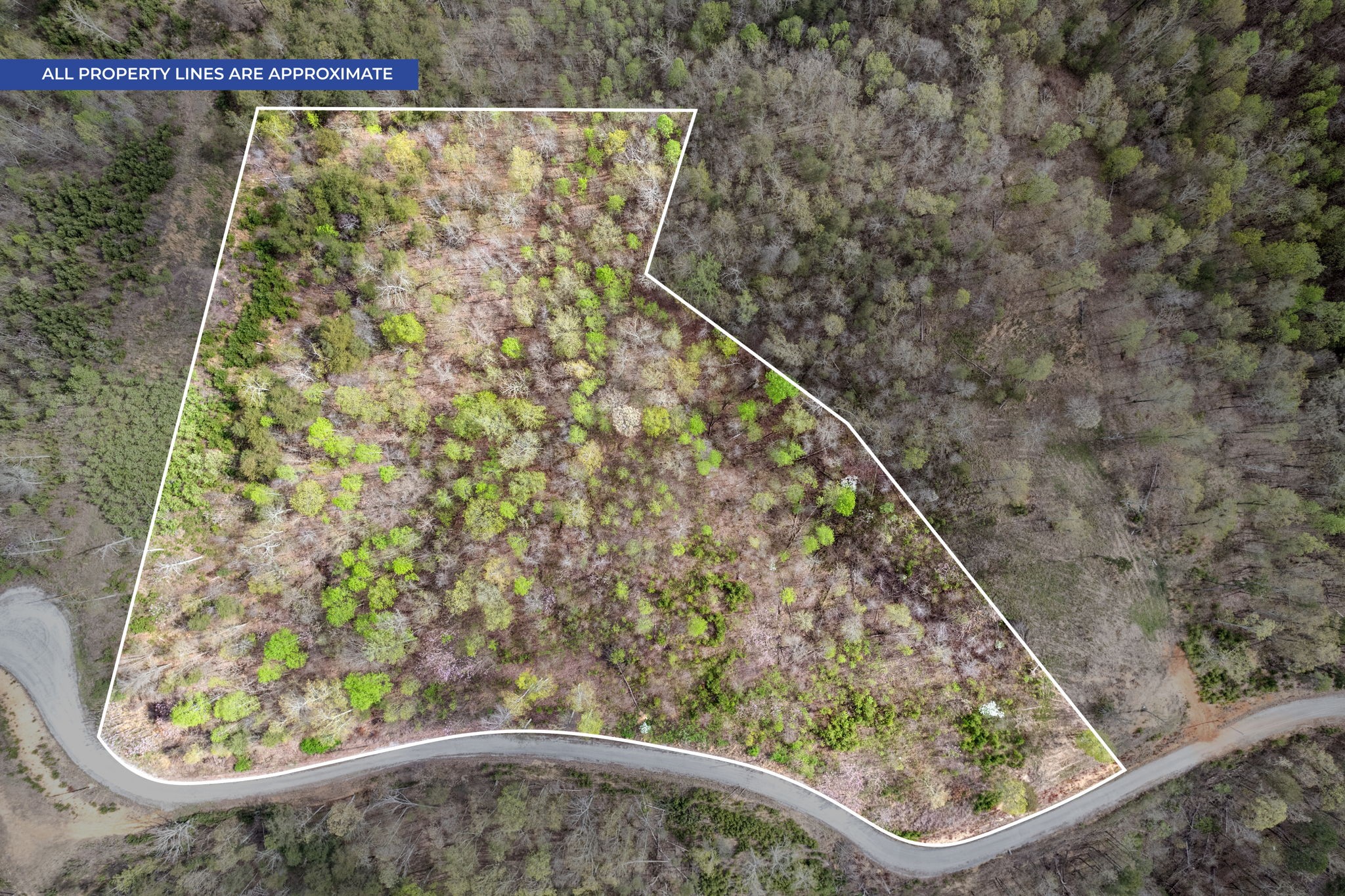 0 Float Dr Property Photo 3