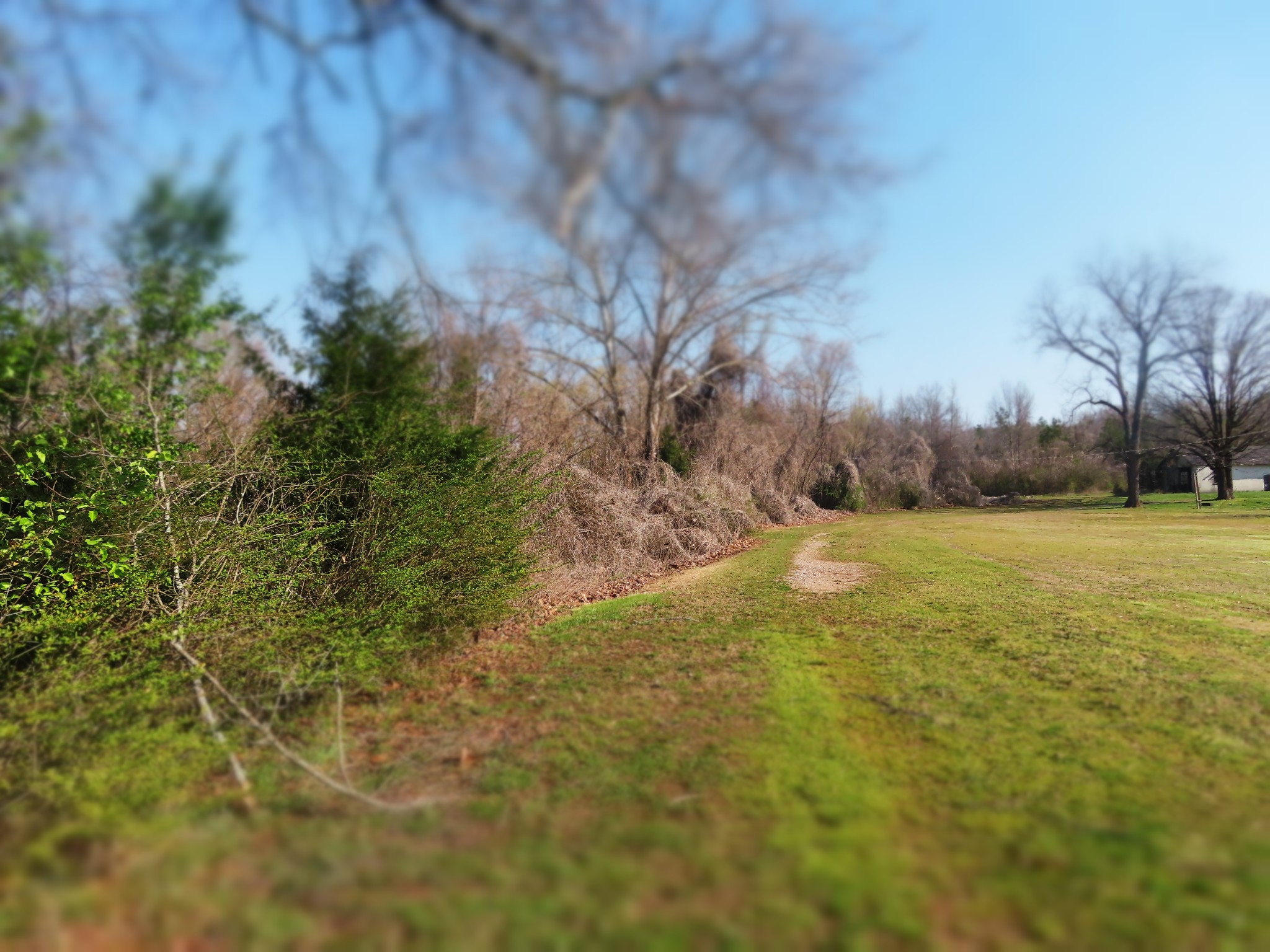 0 Highway 125 N Property Photo 1