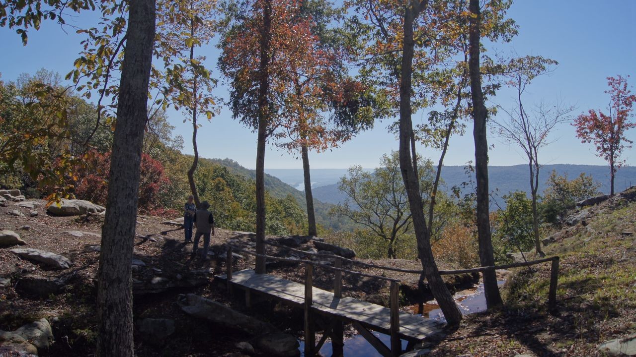 0 Crockett Loop Property Photo 10