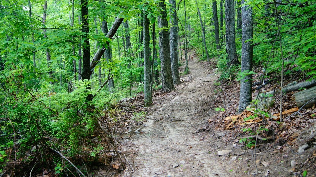 0 Crockett Loop Property Photo 16