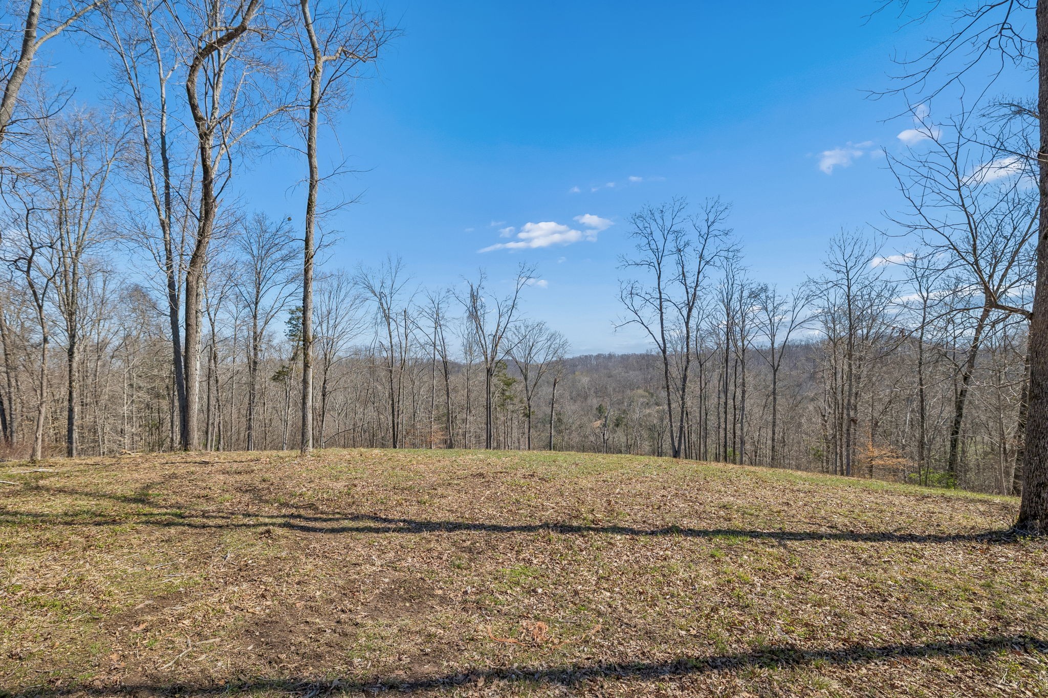 6012 Russell Ridge Lane Property Photo 1