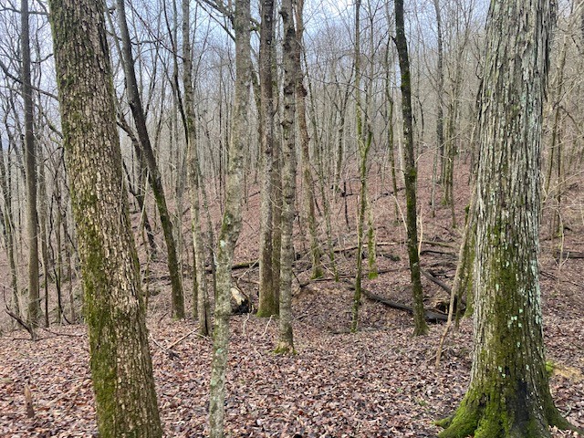 0 Talley Top Trl Property Photo 1