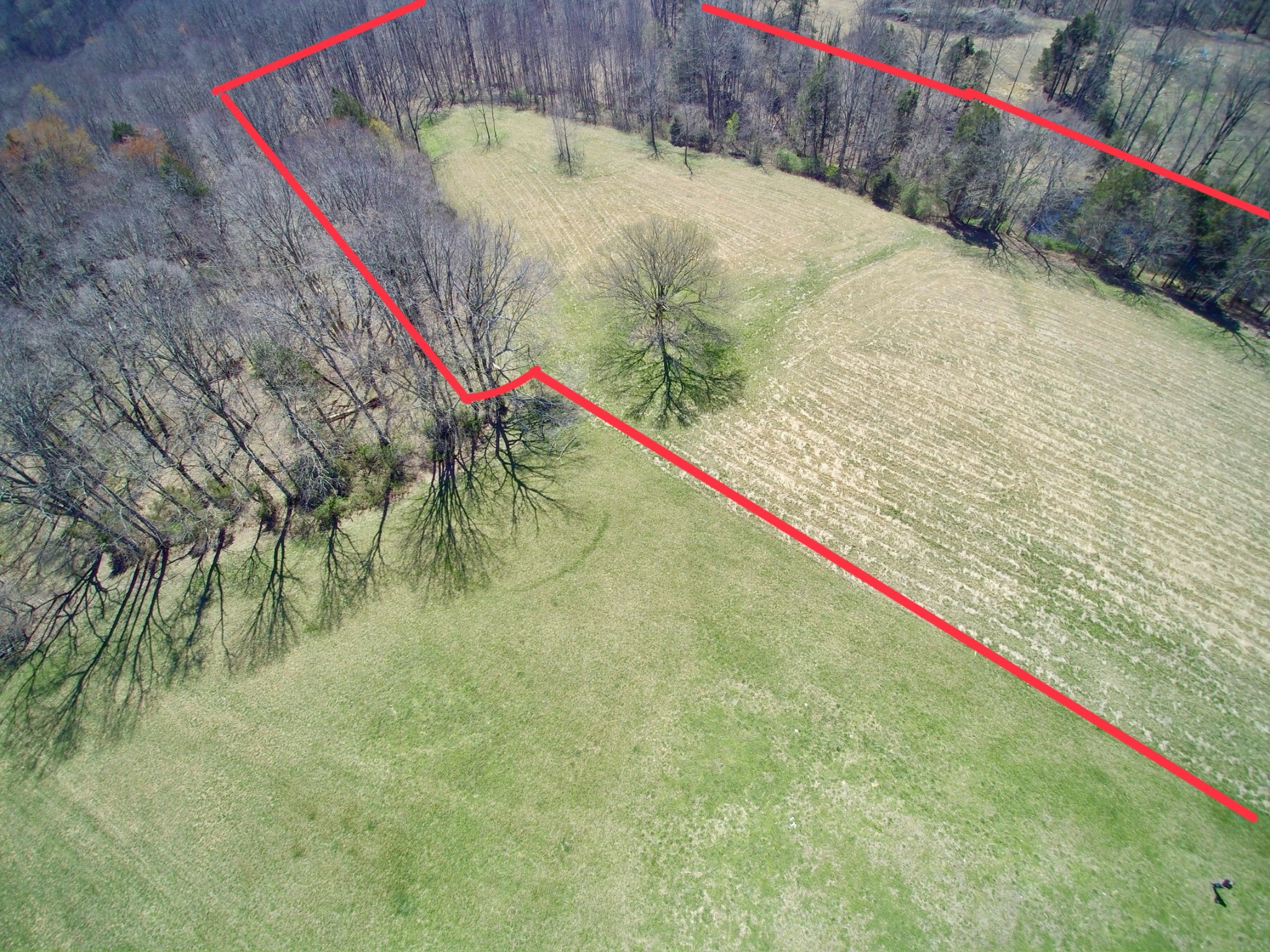 10974 Galen Rd Property Photo 6