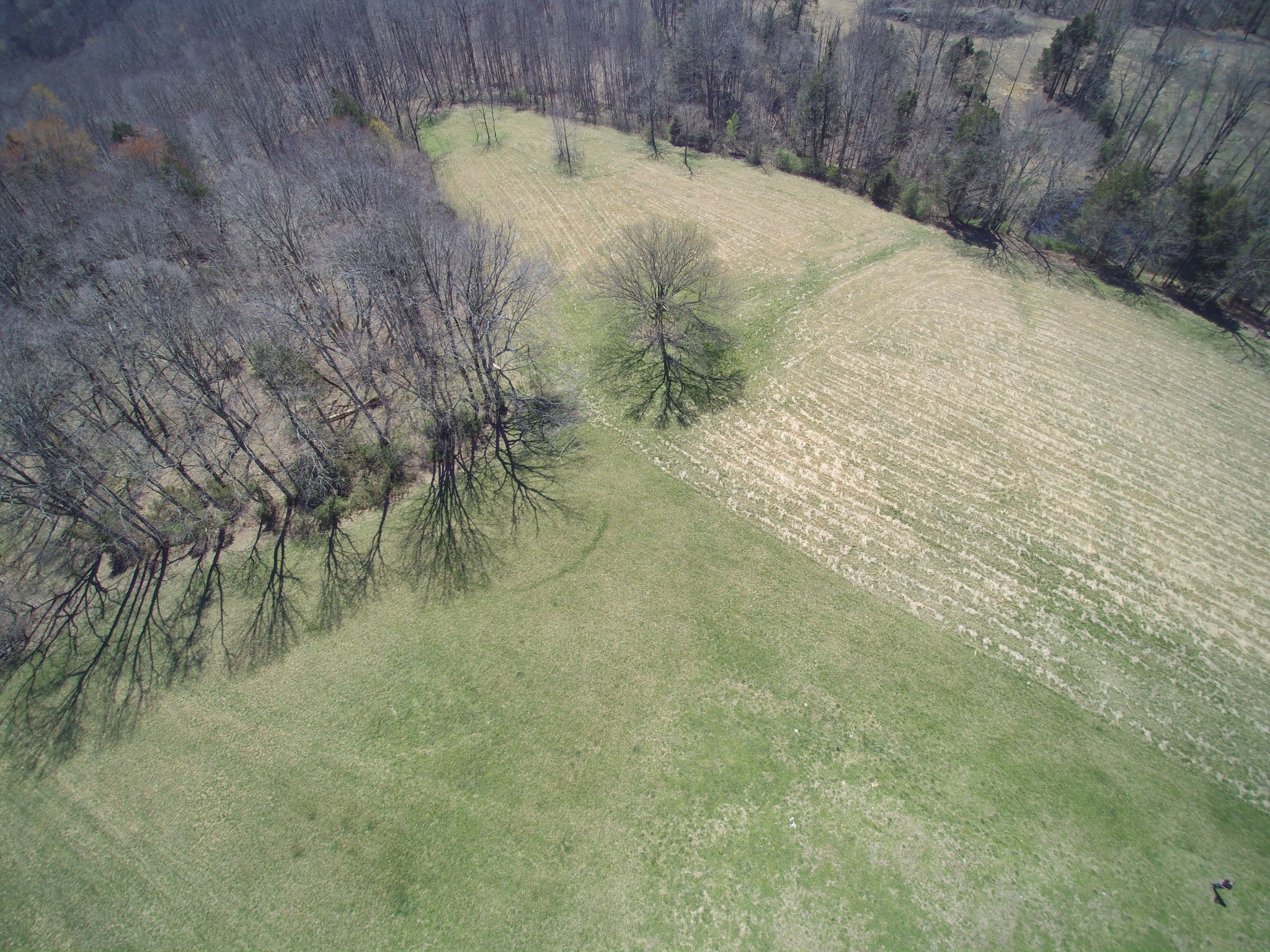 10974 Galen Rd Property Photo 7