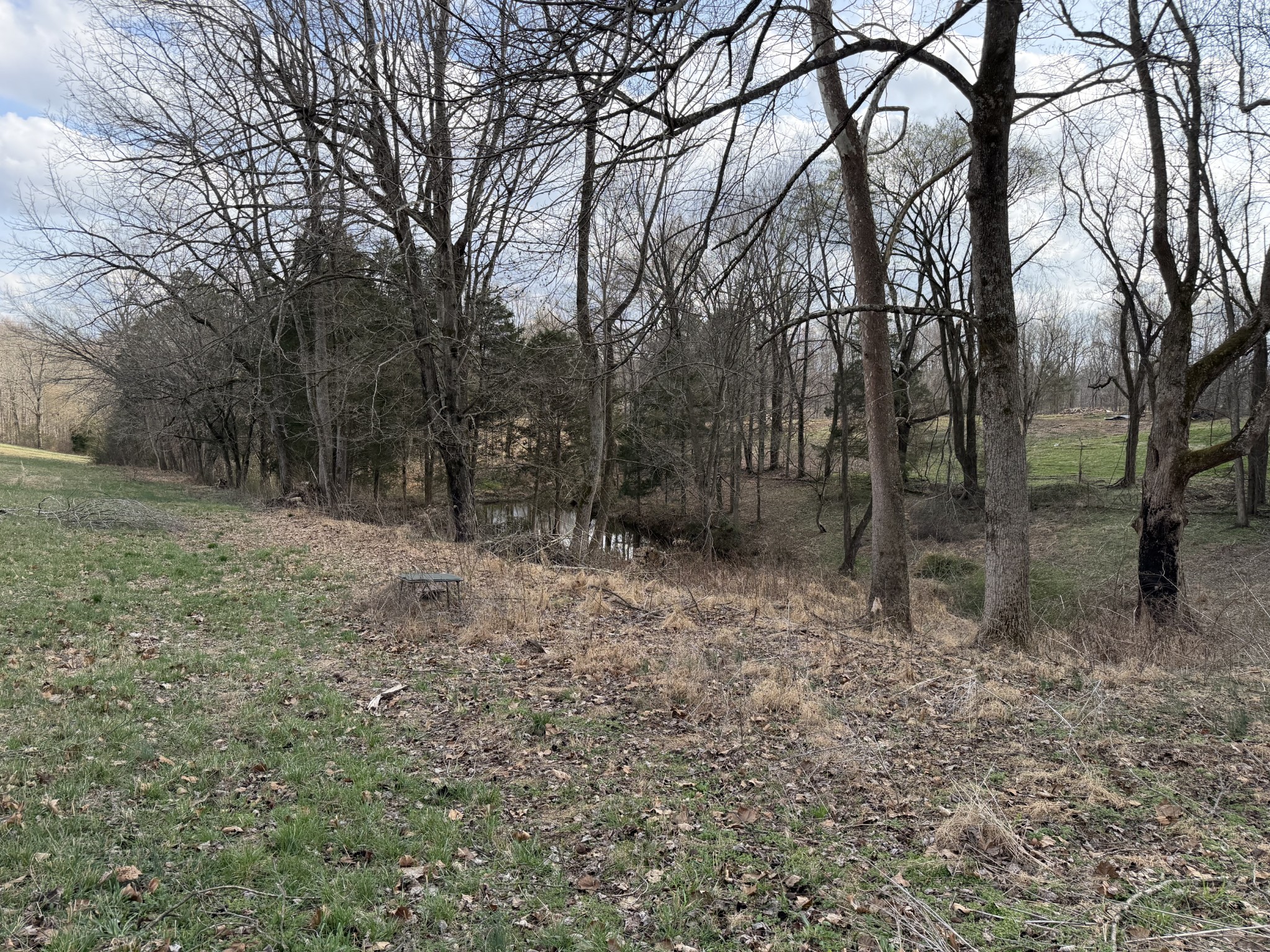 10974 Galen Rd Property Photo 11