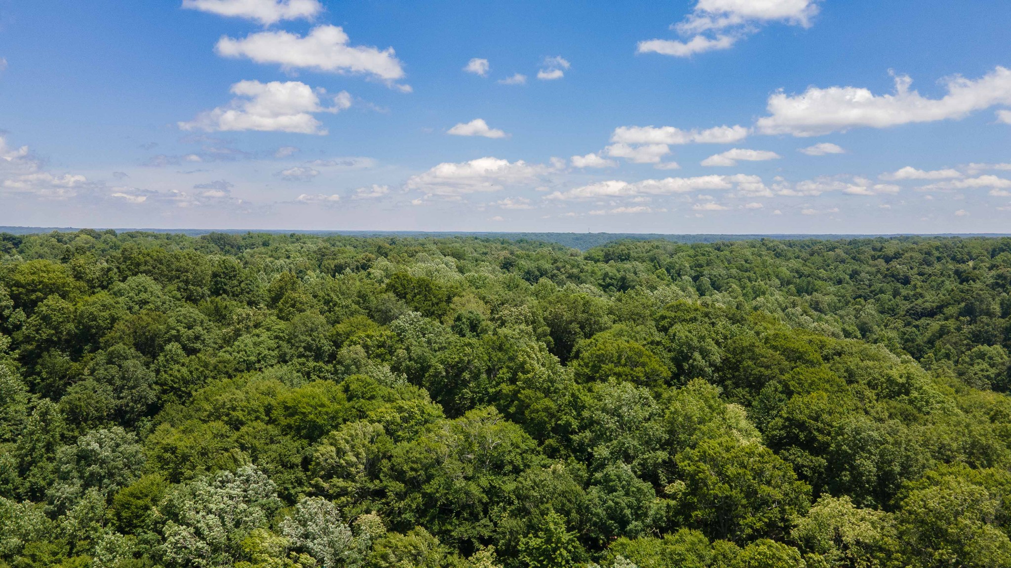 1 Highway 49 W Property Photo 1
