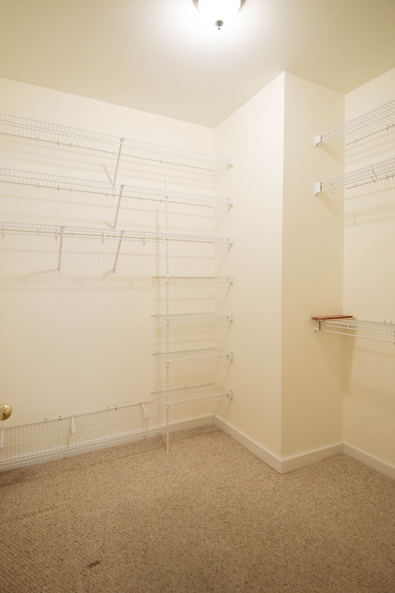 441 Brady Ln Property Photo 30