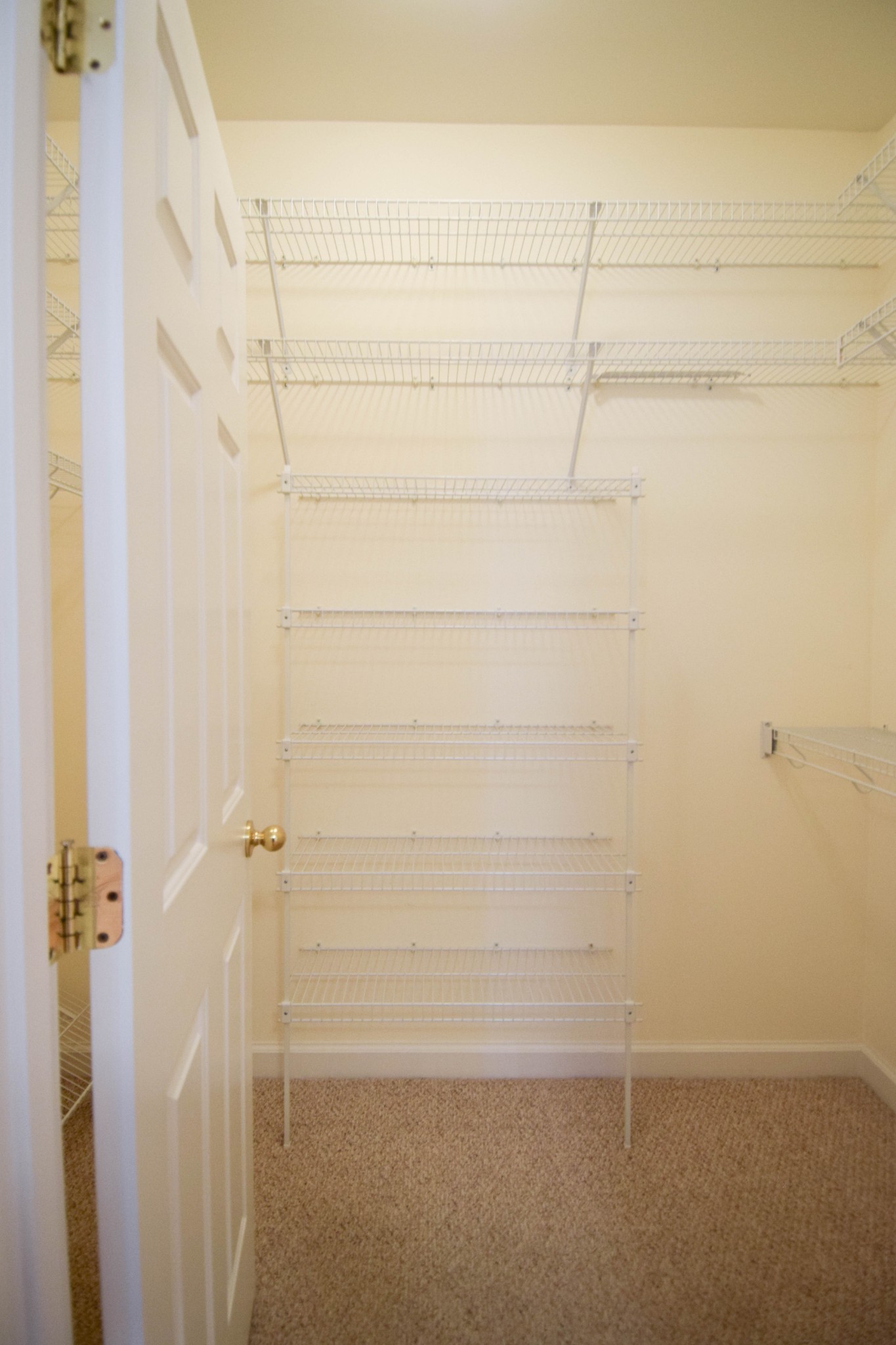 441 Brady Ln Property Photo 43