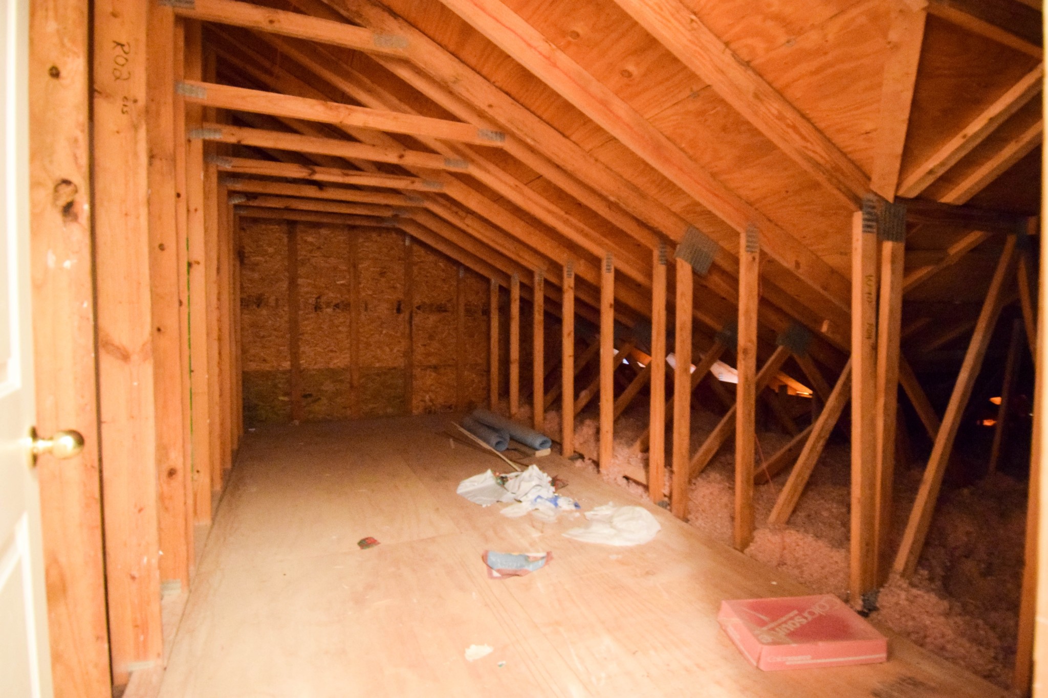 441 Brady Ln Property Photo 44