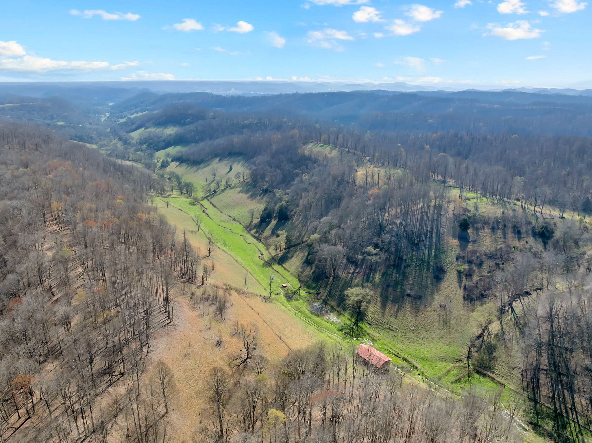 546 Womack Hollow Rd Property Photo 1