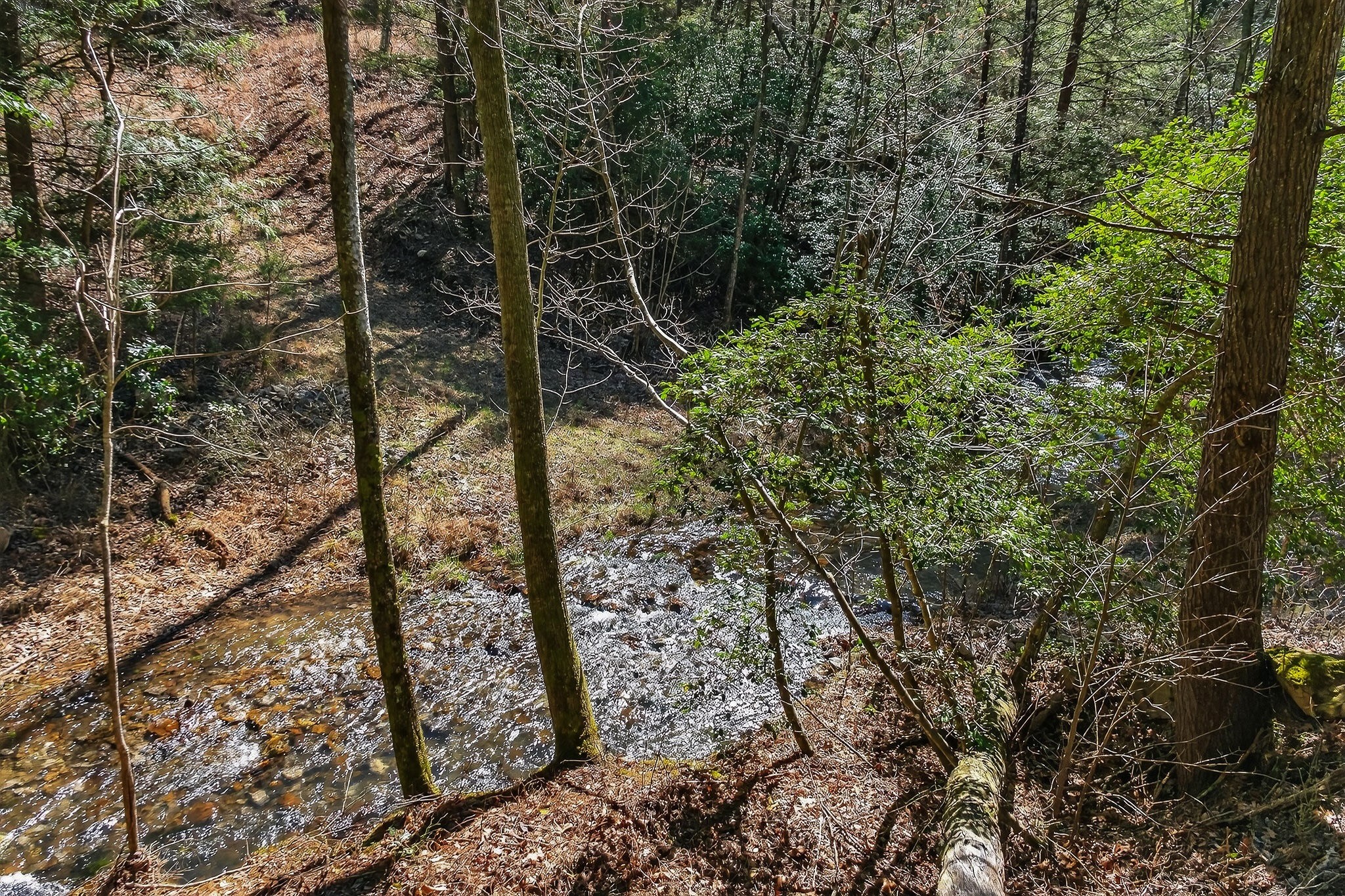 253 Daus Mountain Rd Property Photo 9