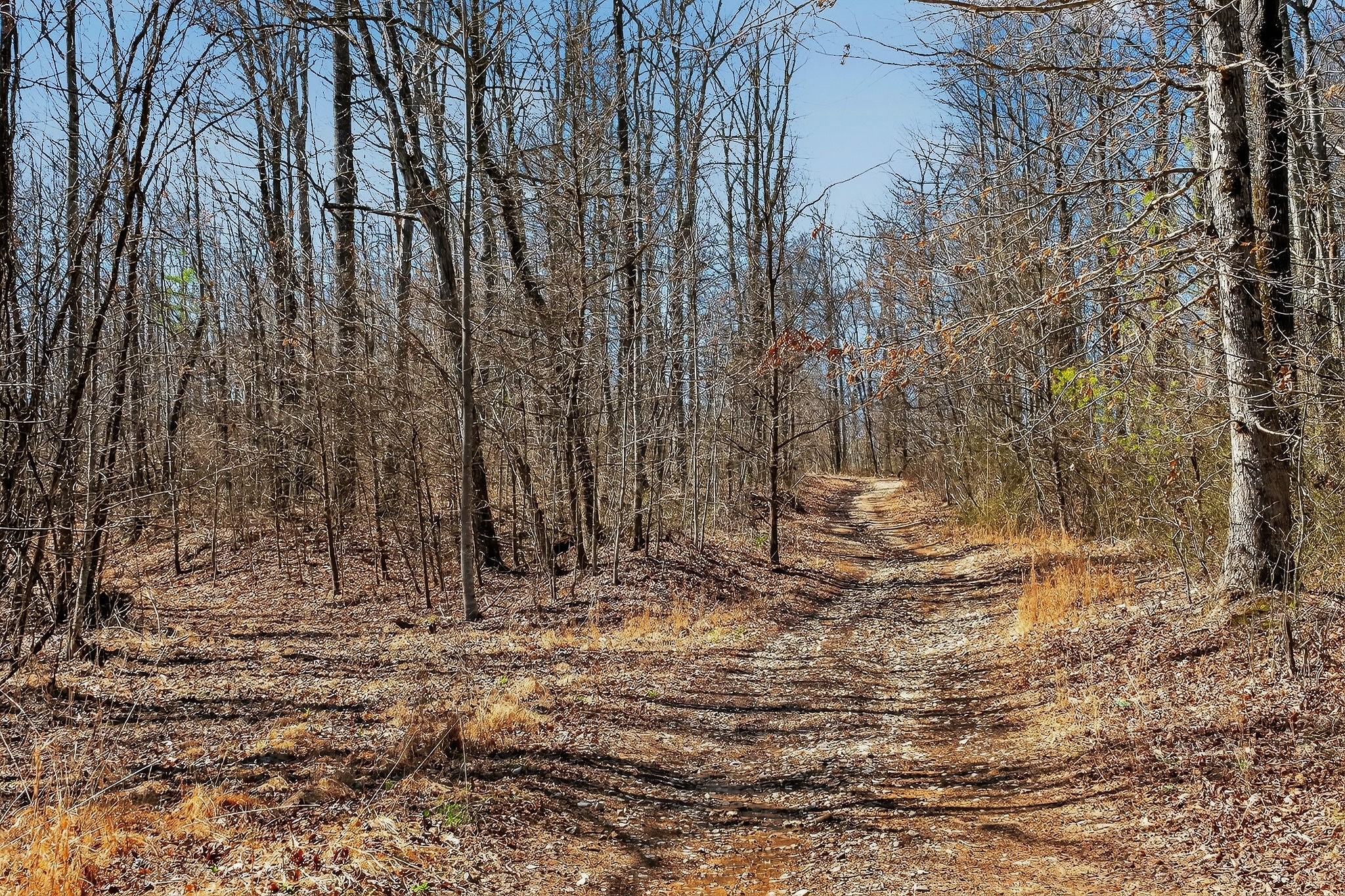 253 Daus Mountain Rd Property Photo 15