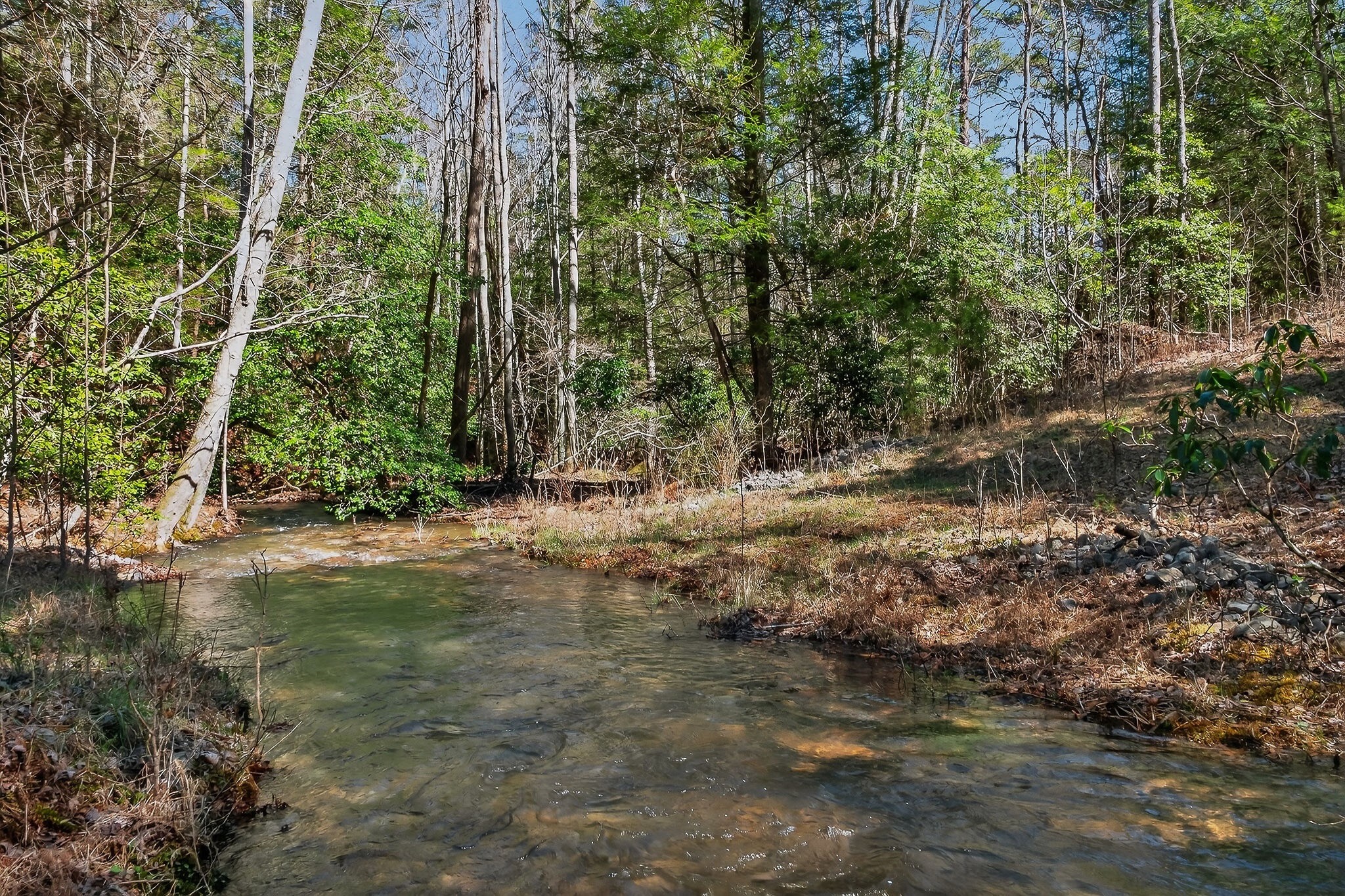 253 Daus Mountain Rd Property Photo 18