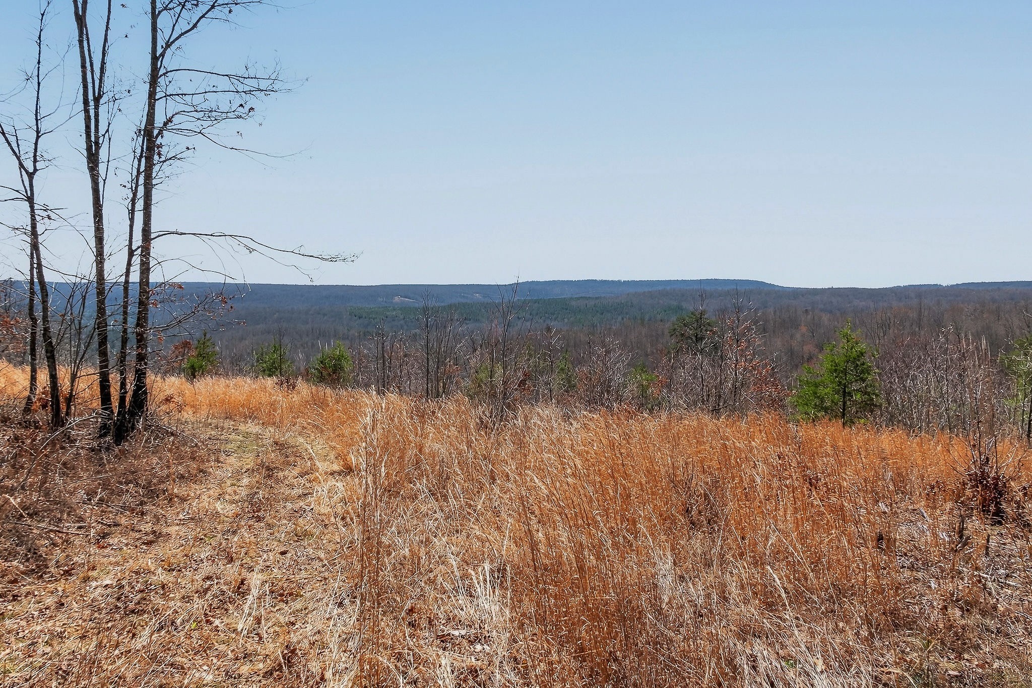 253 Daus Mountain Rd Property Photo 32