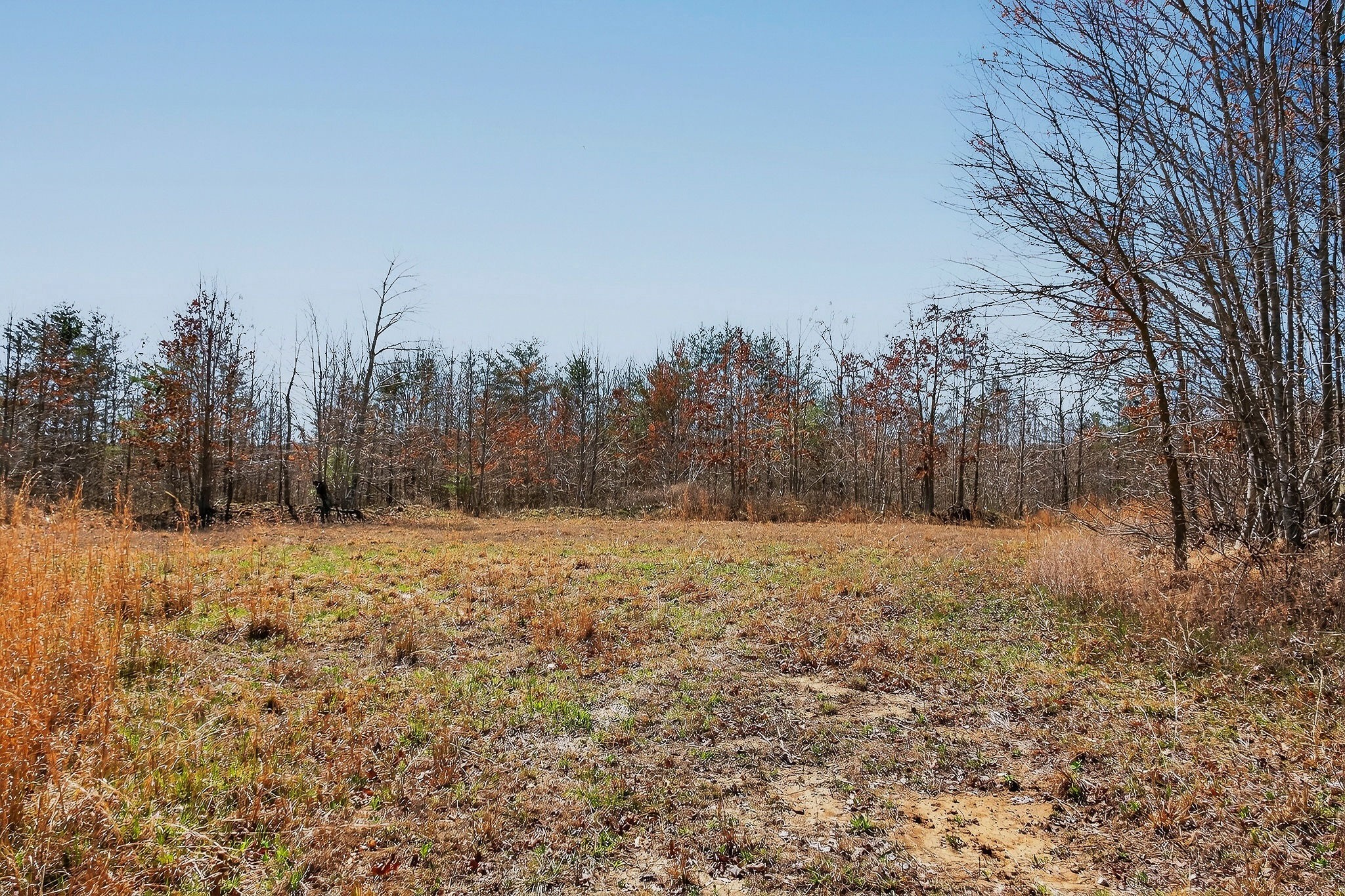 253 Daus Mountain Rd Property Photo 34