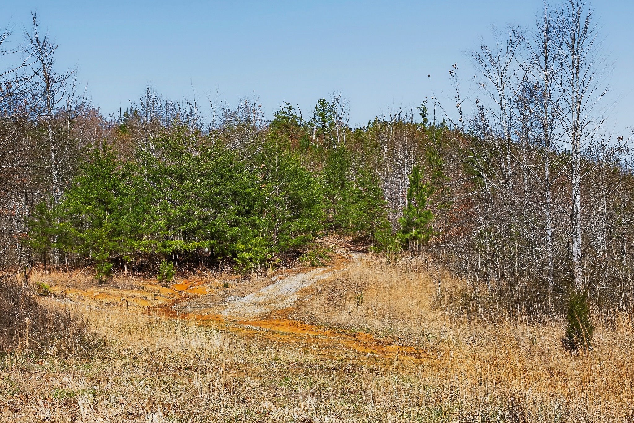 253 Daus Mountain Rd Property Photo 41