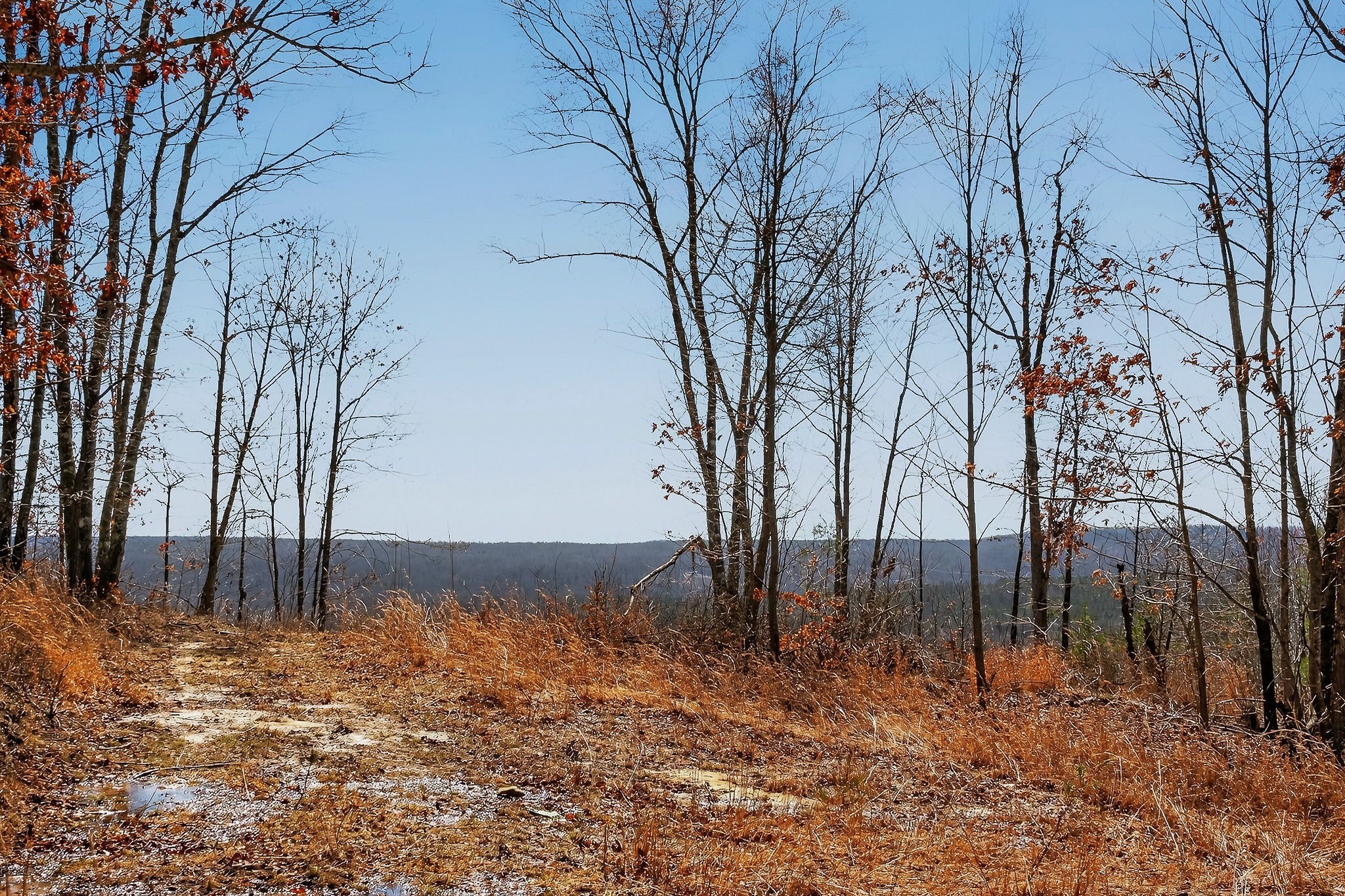 253 Daus Mountain Rd Property Photo 43