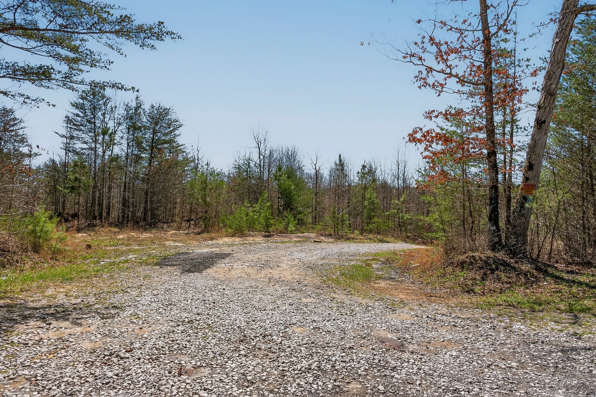253 Daus Mountain Rd Property Photo 53
