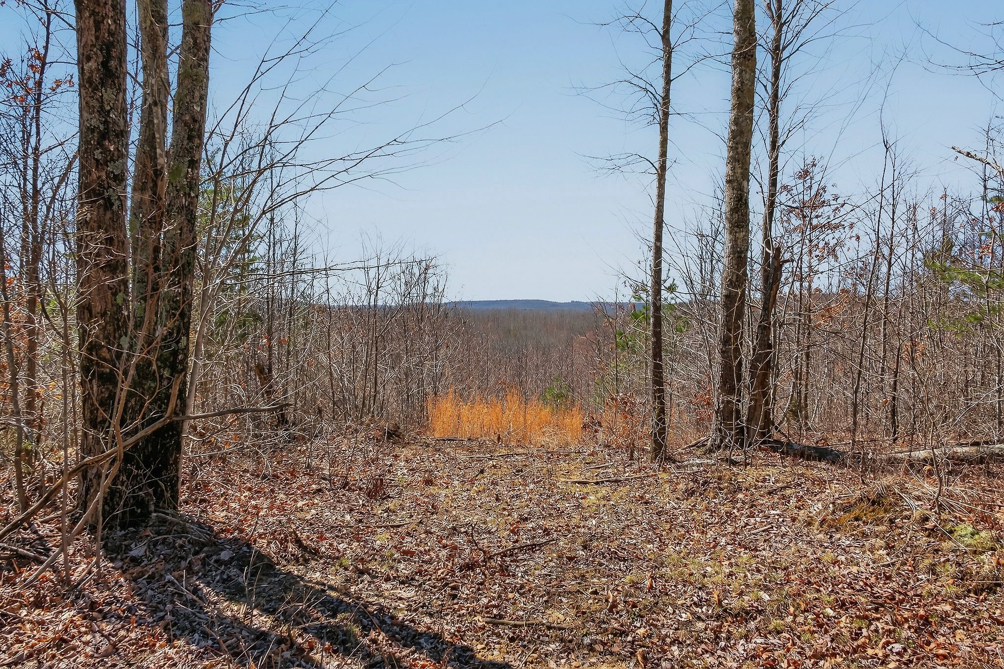 253 Daus Mountain Rd Property Photo 58