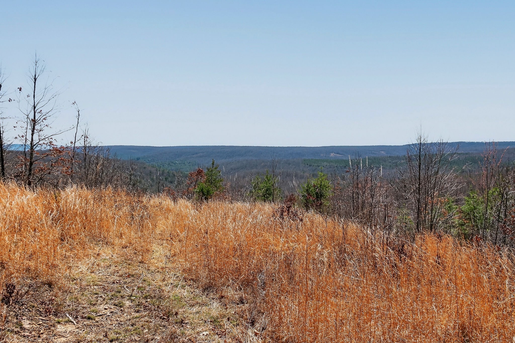 253 Daus Mountain Rd Property Photo 62
