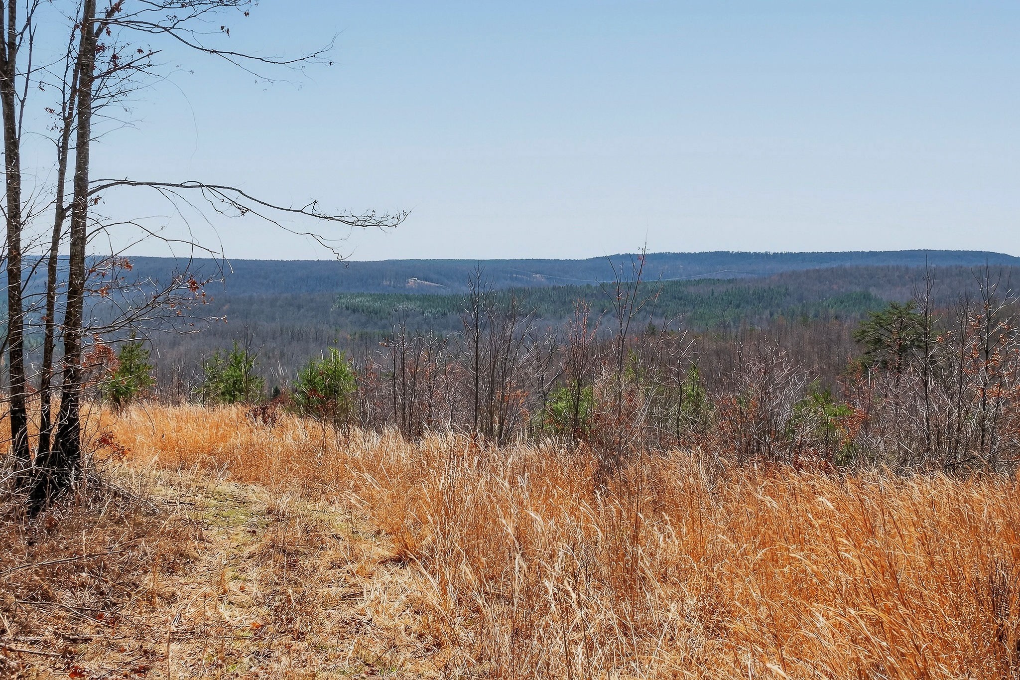 253 Daus Mountain Rd Property Photo 65