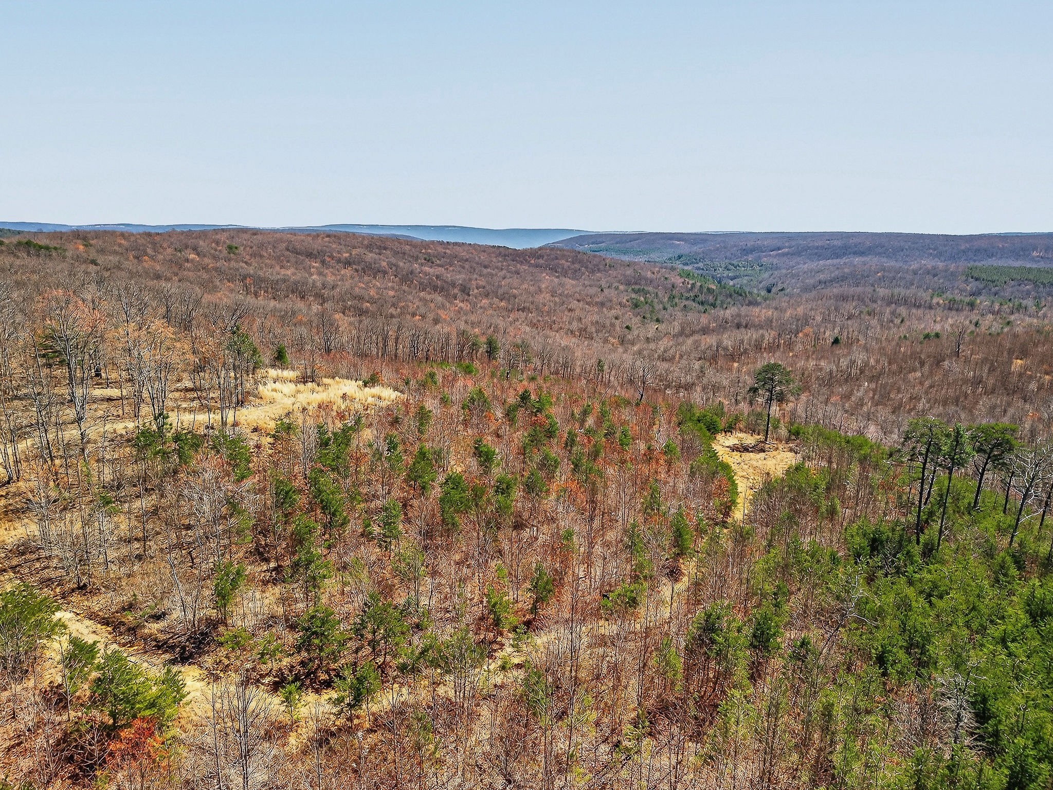 253 Daus Mountain Rd Property Photo 68