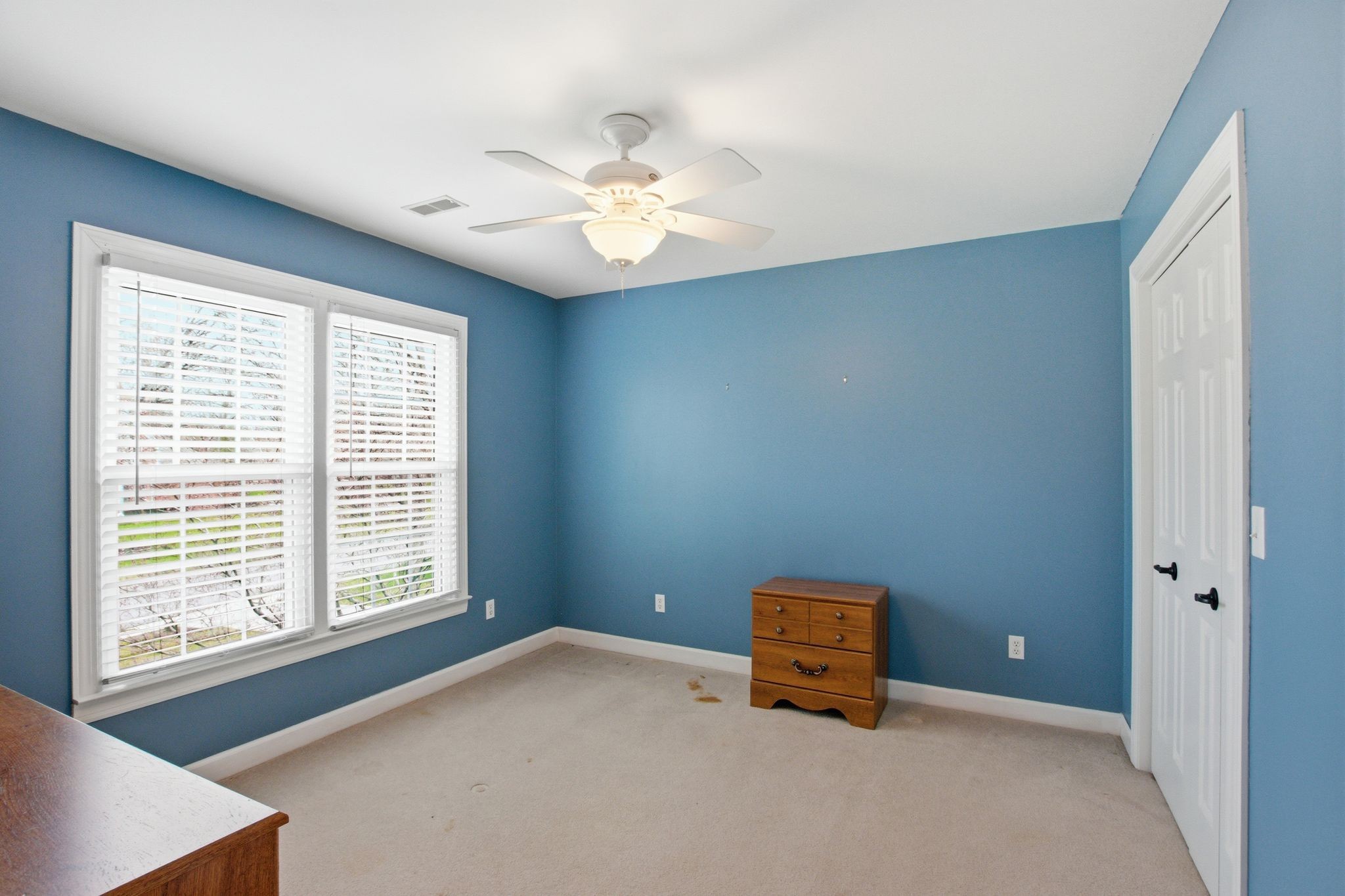 108 Albemarle Dr Property Photo 28