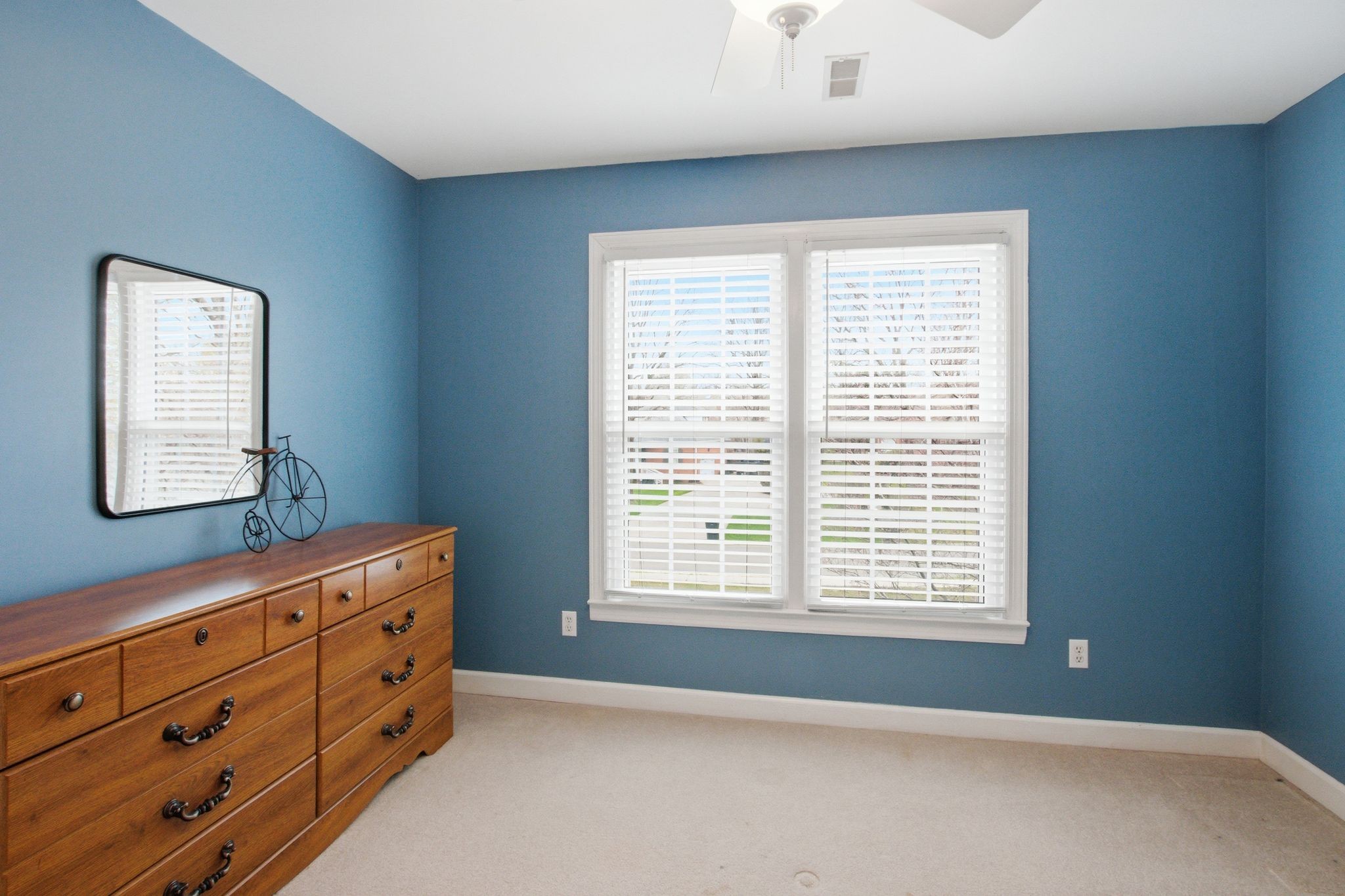 108 Albemarle Dr Property Photo 29