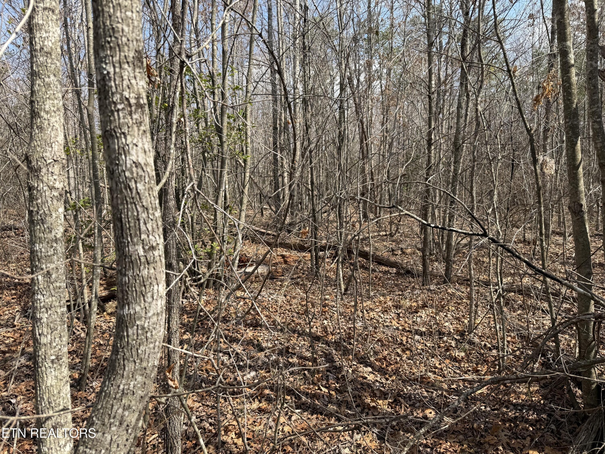 0 Cumberland Lakes Drive Property Photo 1