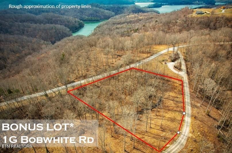 50 Crappie Lane Property Photo 2